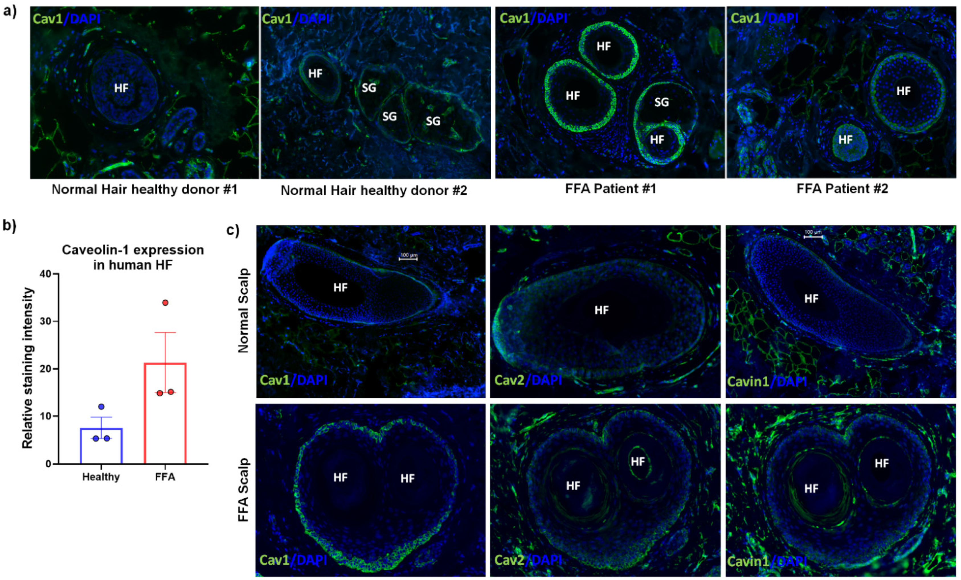 Biomedicines 09 00572 g003 Biomedicines 09 00572 g003
