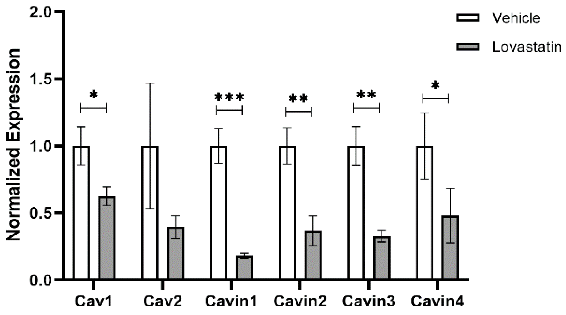 Biomedicines 09 00572 g005 Biomedicines 09 00572 g005