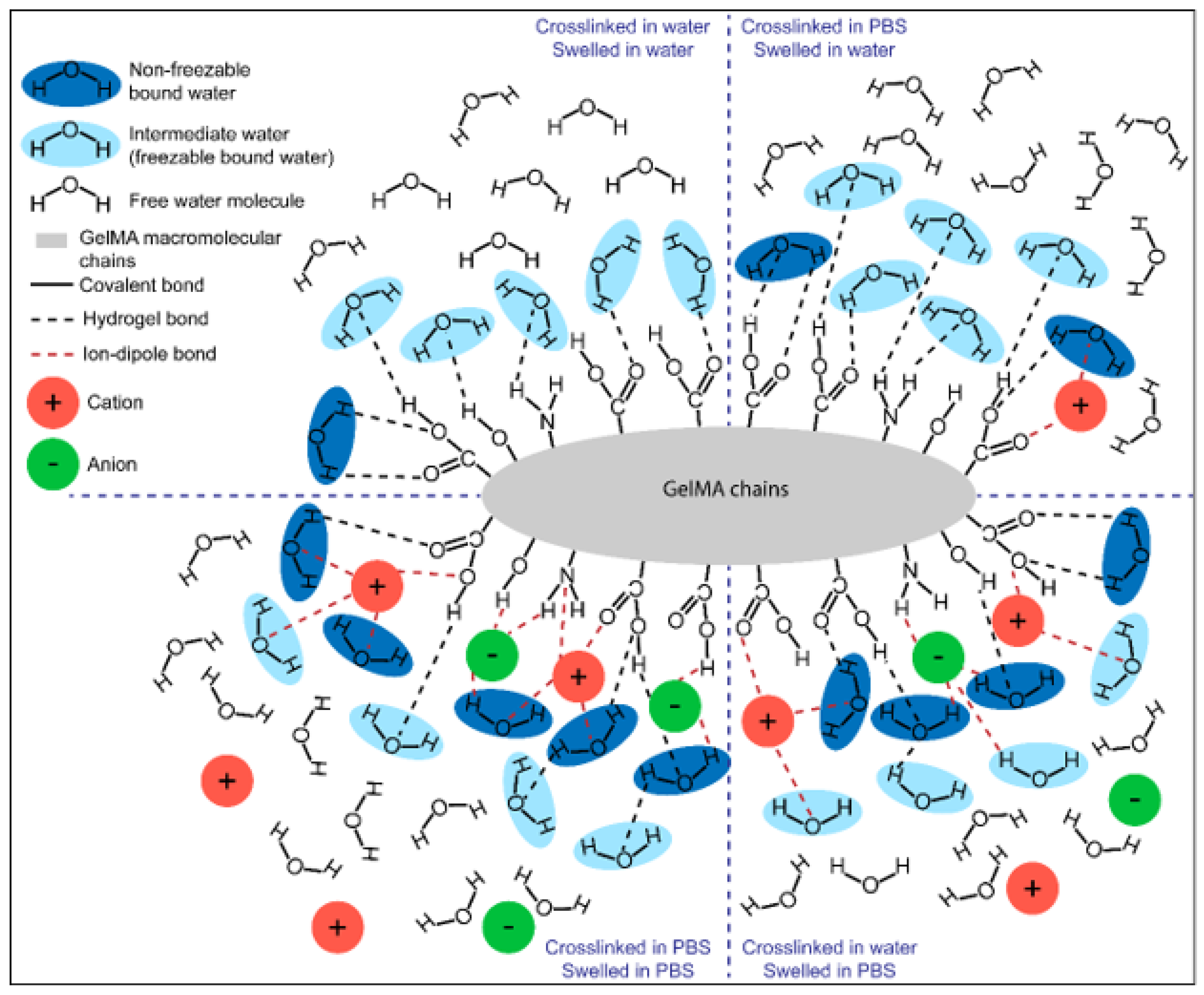 Biomedicines 09 00574 g003