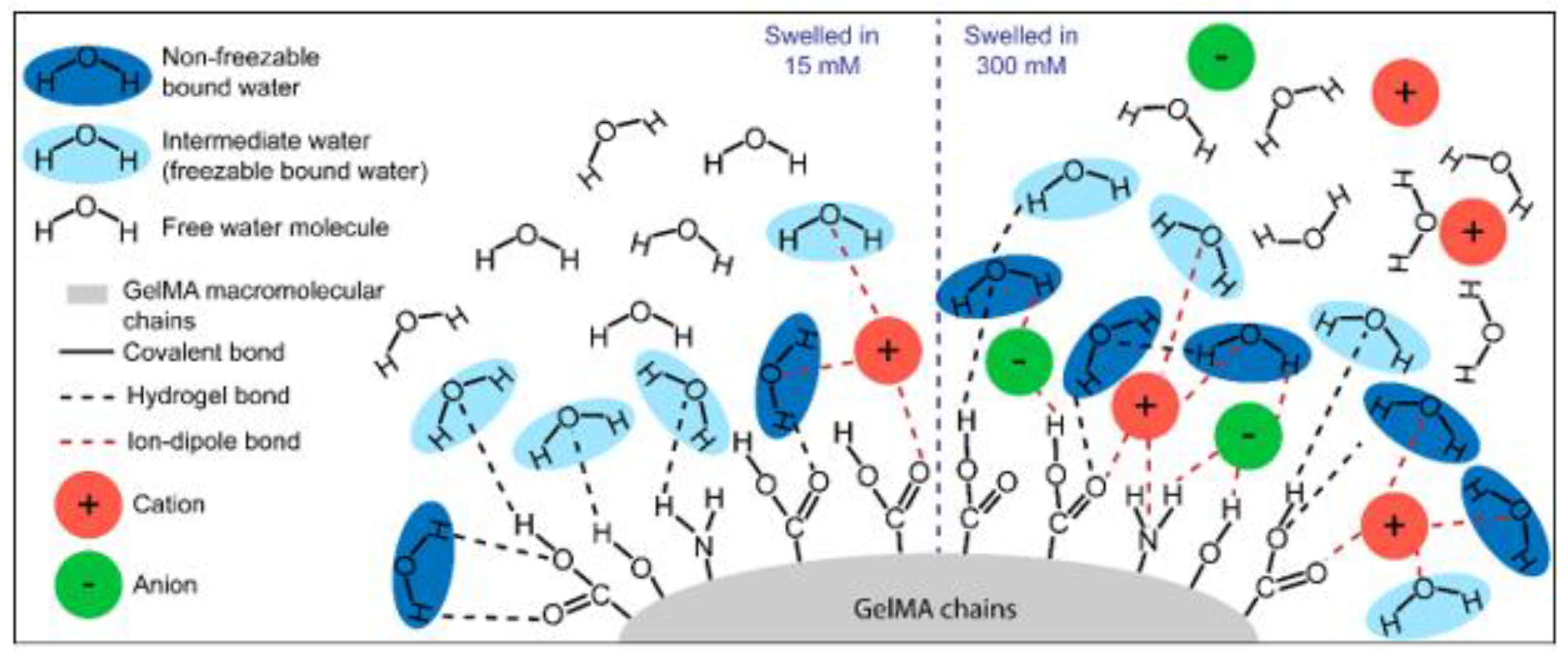 Biomedicines 09 00574 g006