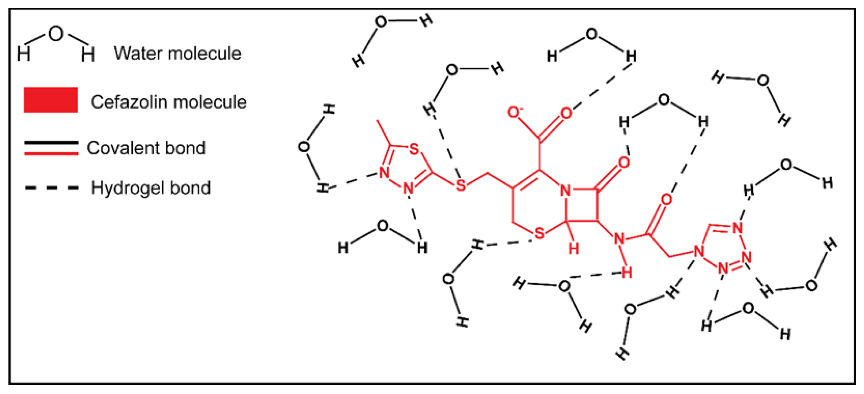 Biomedicines 09 00574 g012