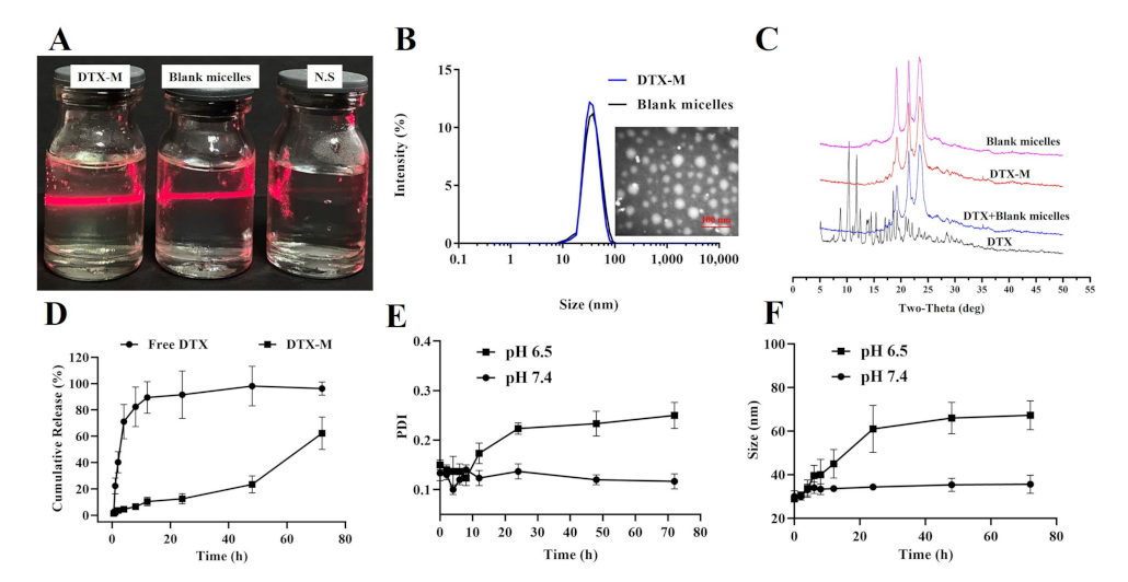 Biomedicines 09 00575 g001