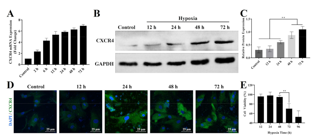 Biomedicines 09 00575 g002