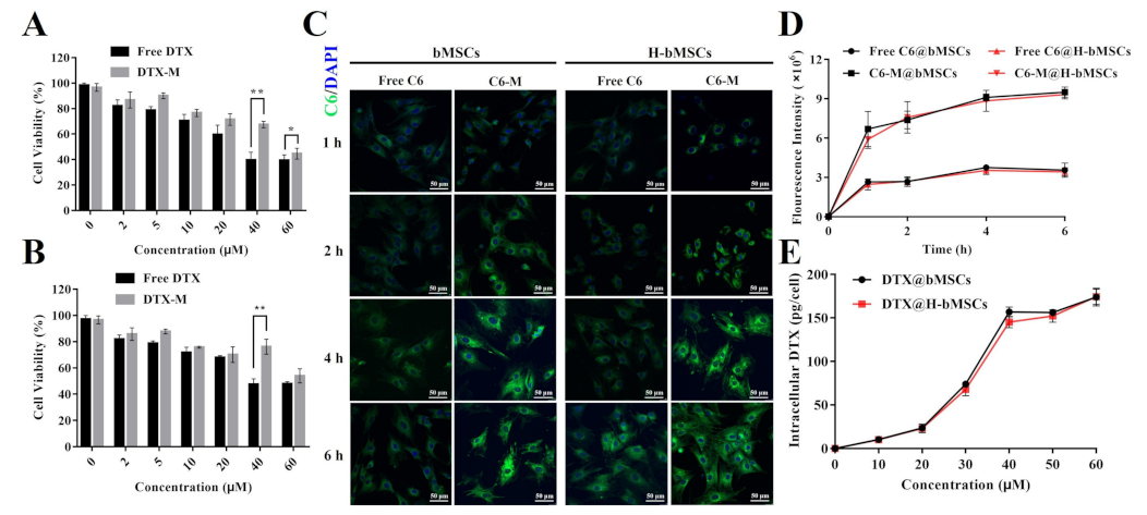 Biomedicines 09 00575 g003