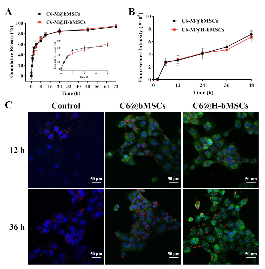 Biomedicines 09 00575 g004
