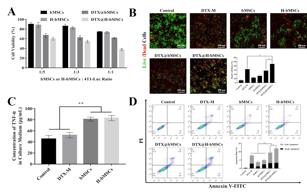 Biomedicines 09 00575 g006