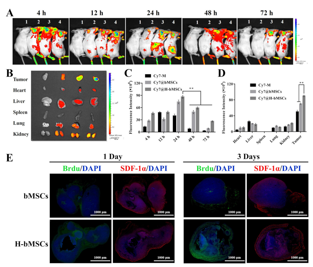 Biomedicines 09 00575 g007