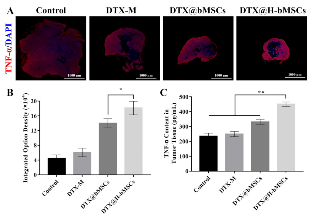 Biomedicines 09 00575 g010