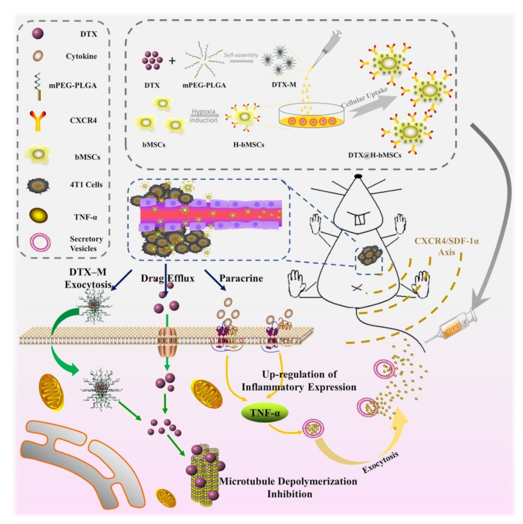 Biomedicines 09 00575 sch001