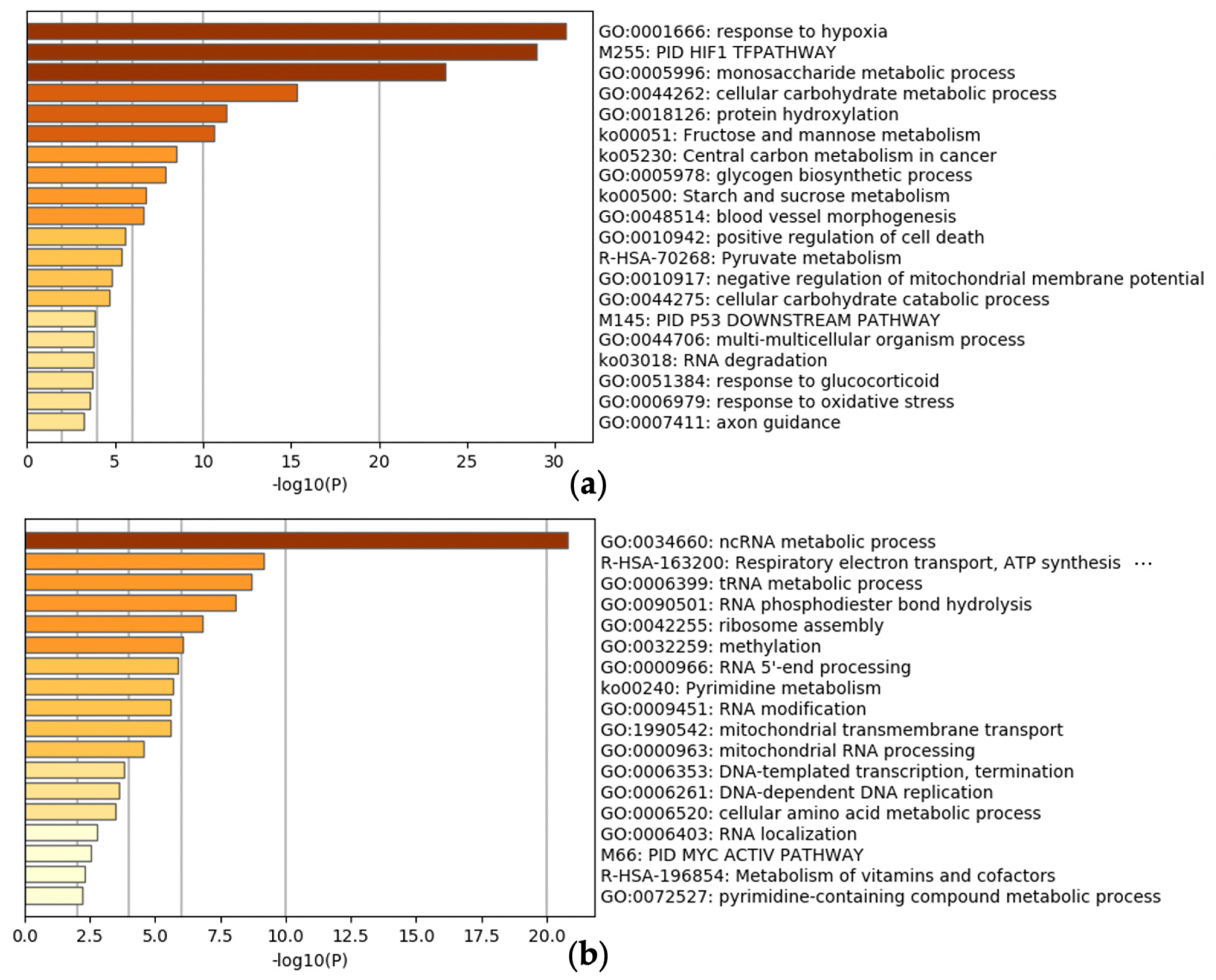 Biomedicines 09 00582 g002a Biomedicines 09 00582 g002a