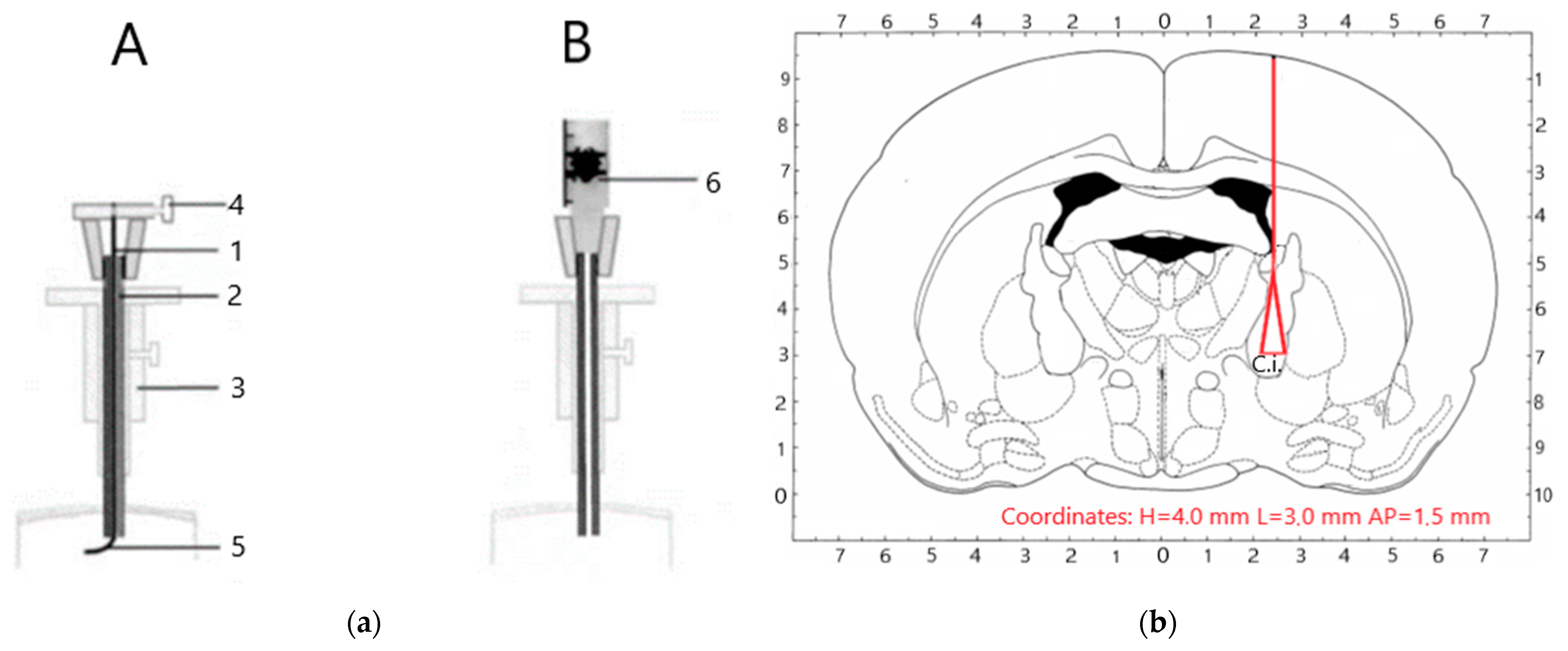 Biomedicines 09 00585 g001 Biomedicines 09 00585 g001