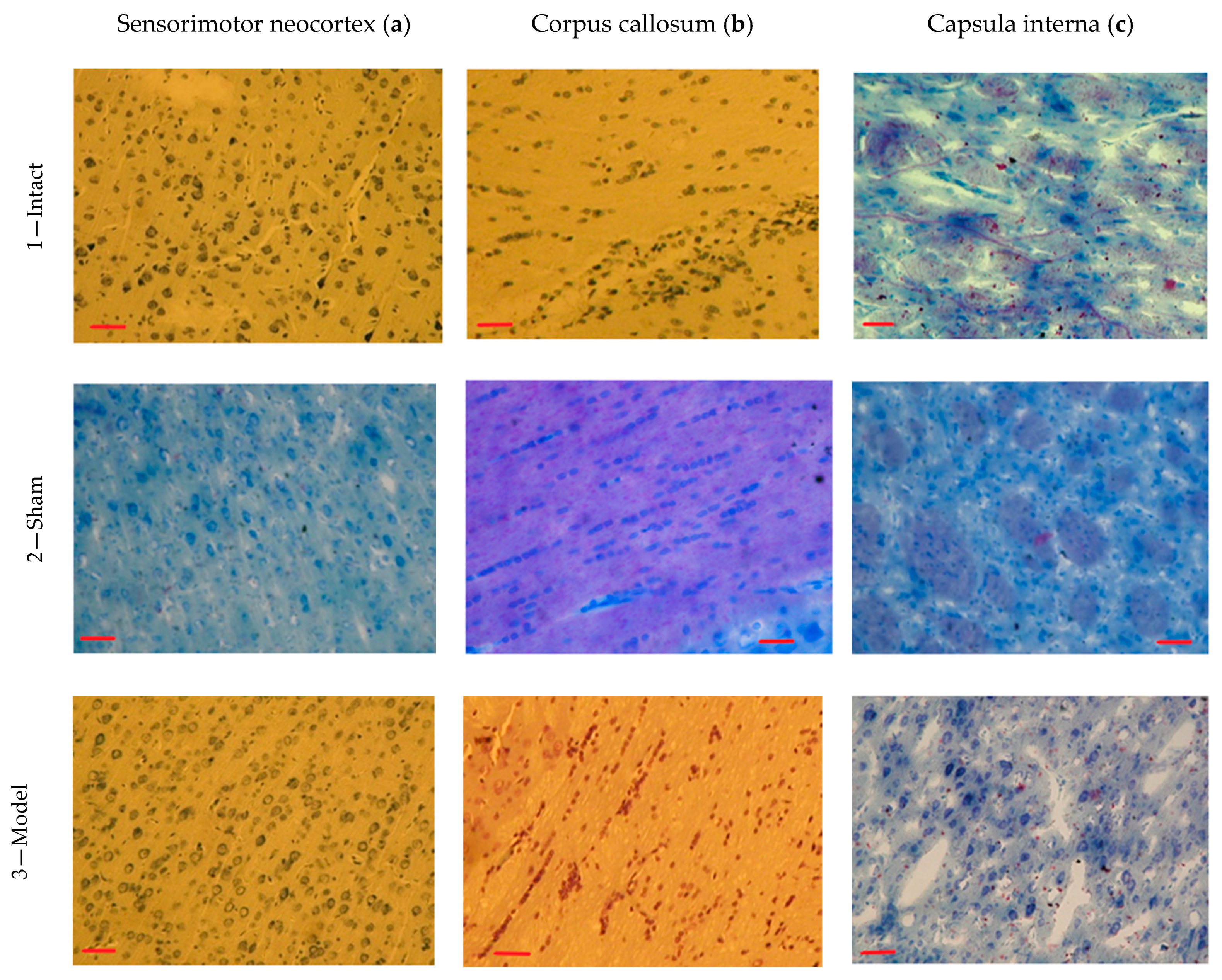 Biomedicines 09 00585 g005 Biomedicines 09 00585 g005