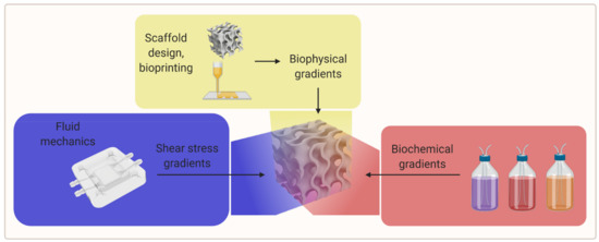 Biomedicines 09 00589 g005 550