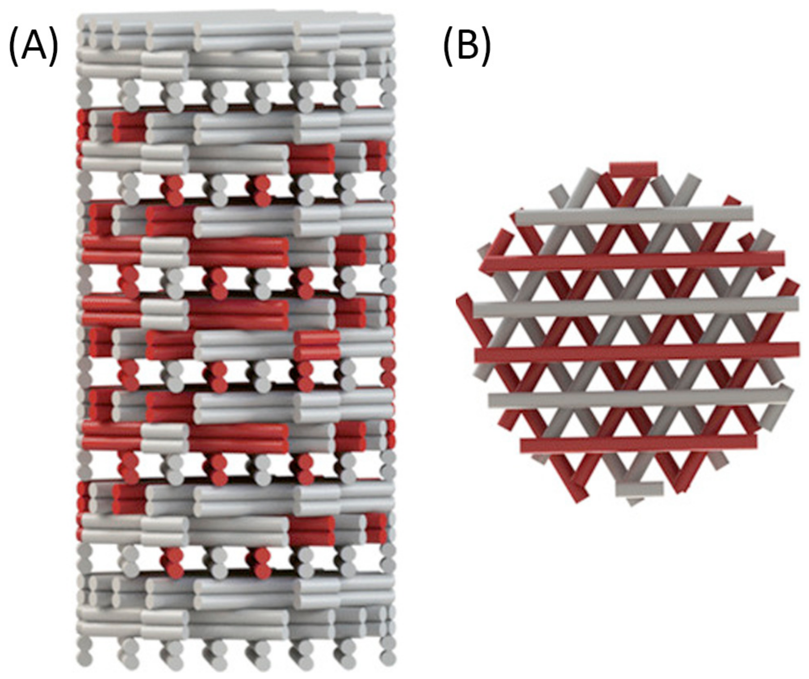 Biomedicines 09 00589 g006 Biomedicines 09 00589 g006
