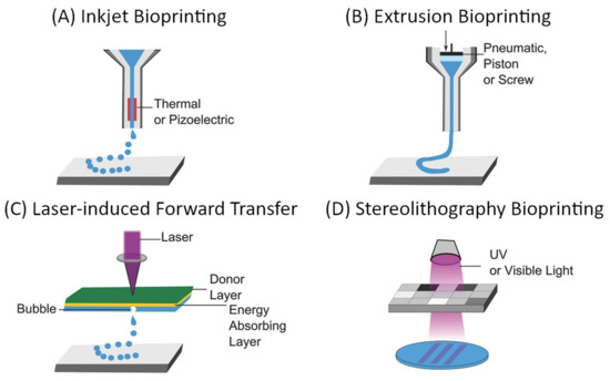 Biomedicines 09 00589 g009 550