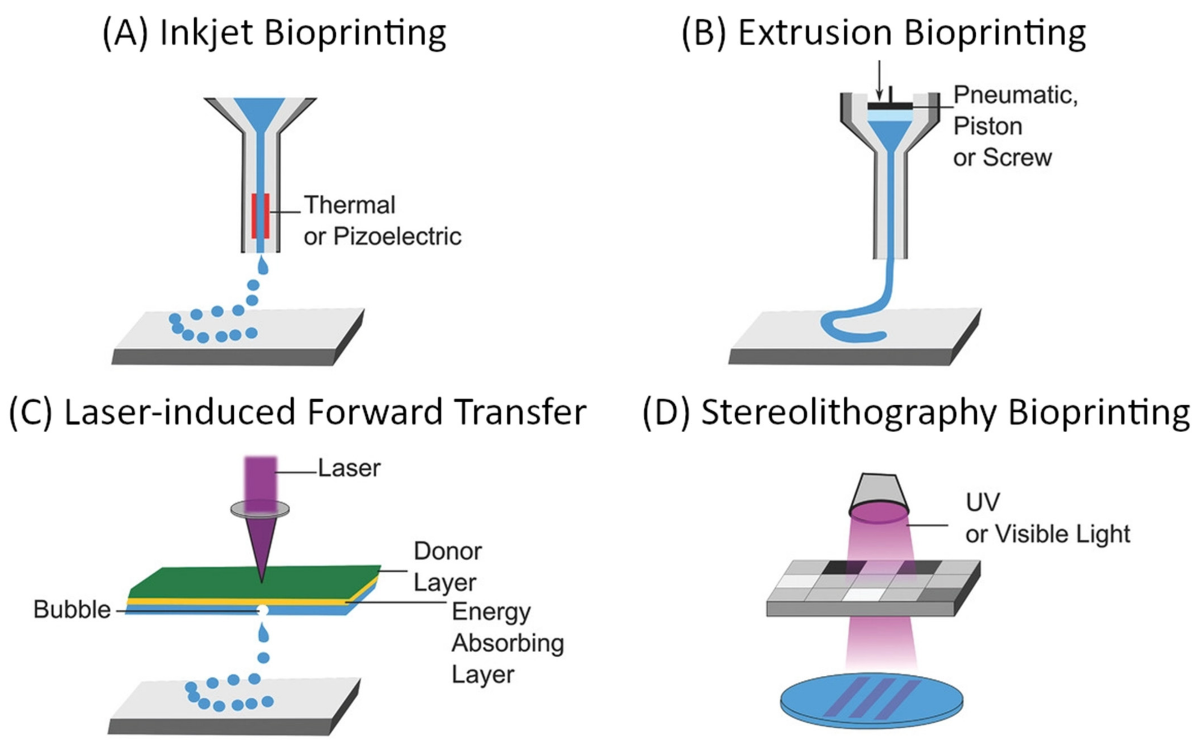 Biomedicines 09 00589 g009 Biomedicines 09 00589 g009