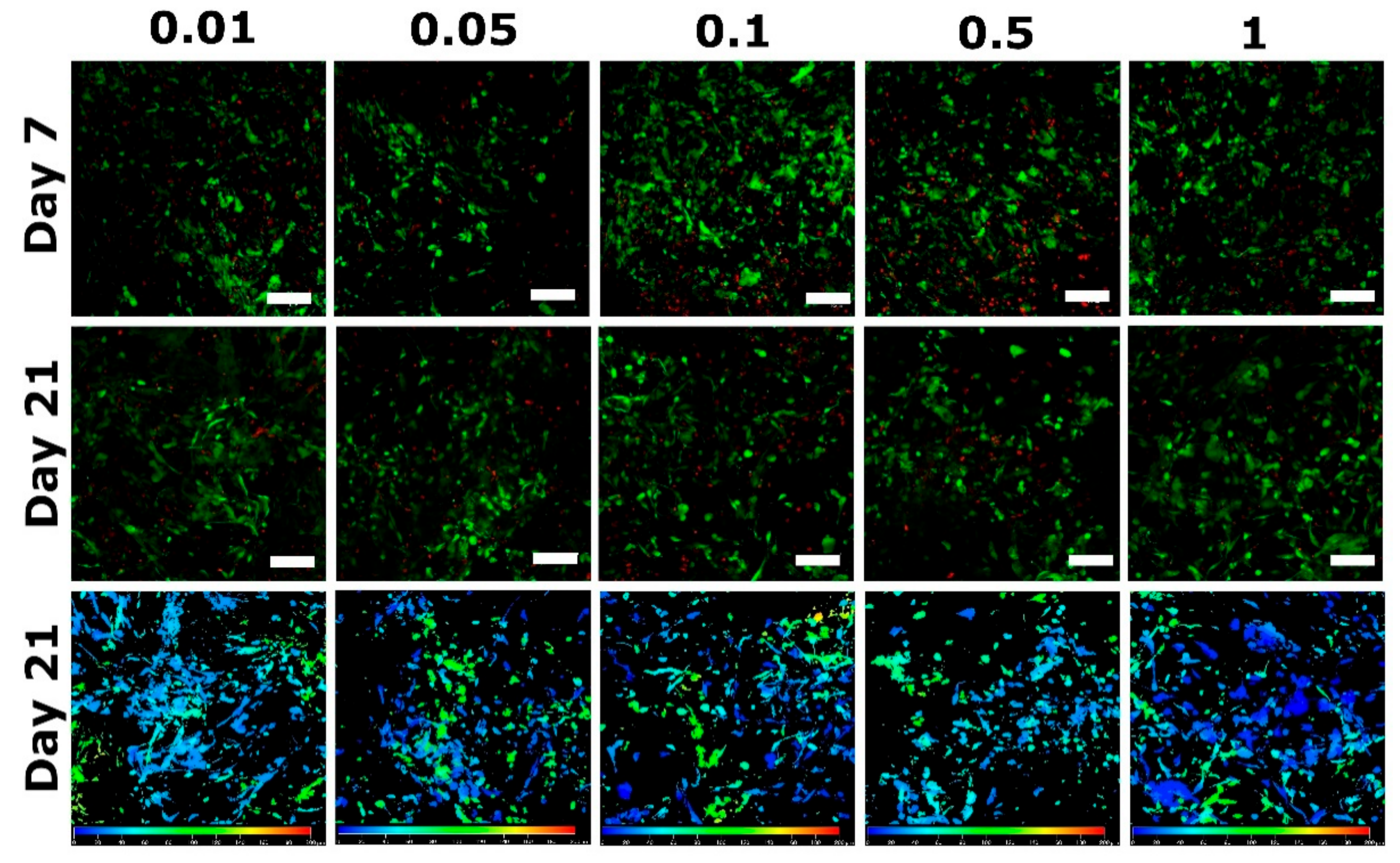 Biomedicines 09 00590 g012