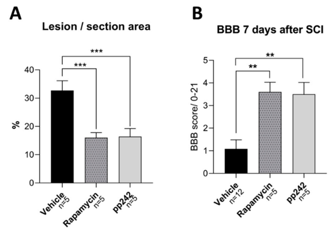 Biomedicines 09 00593 g005 Biomedicines 09 00593 g005