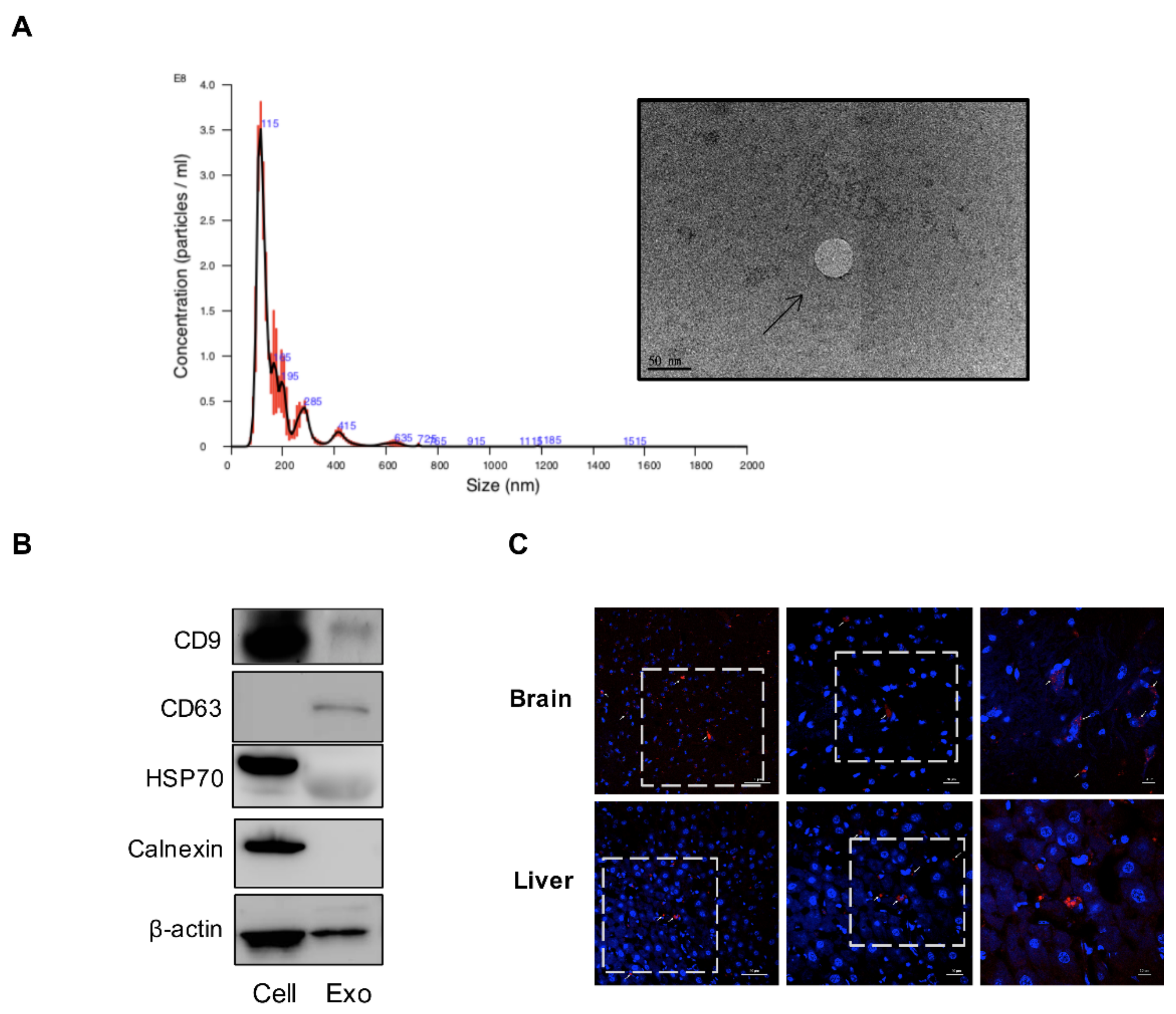 Biomedicines 09 00594 g001 Biomedicines 09 00594 g001