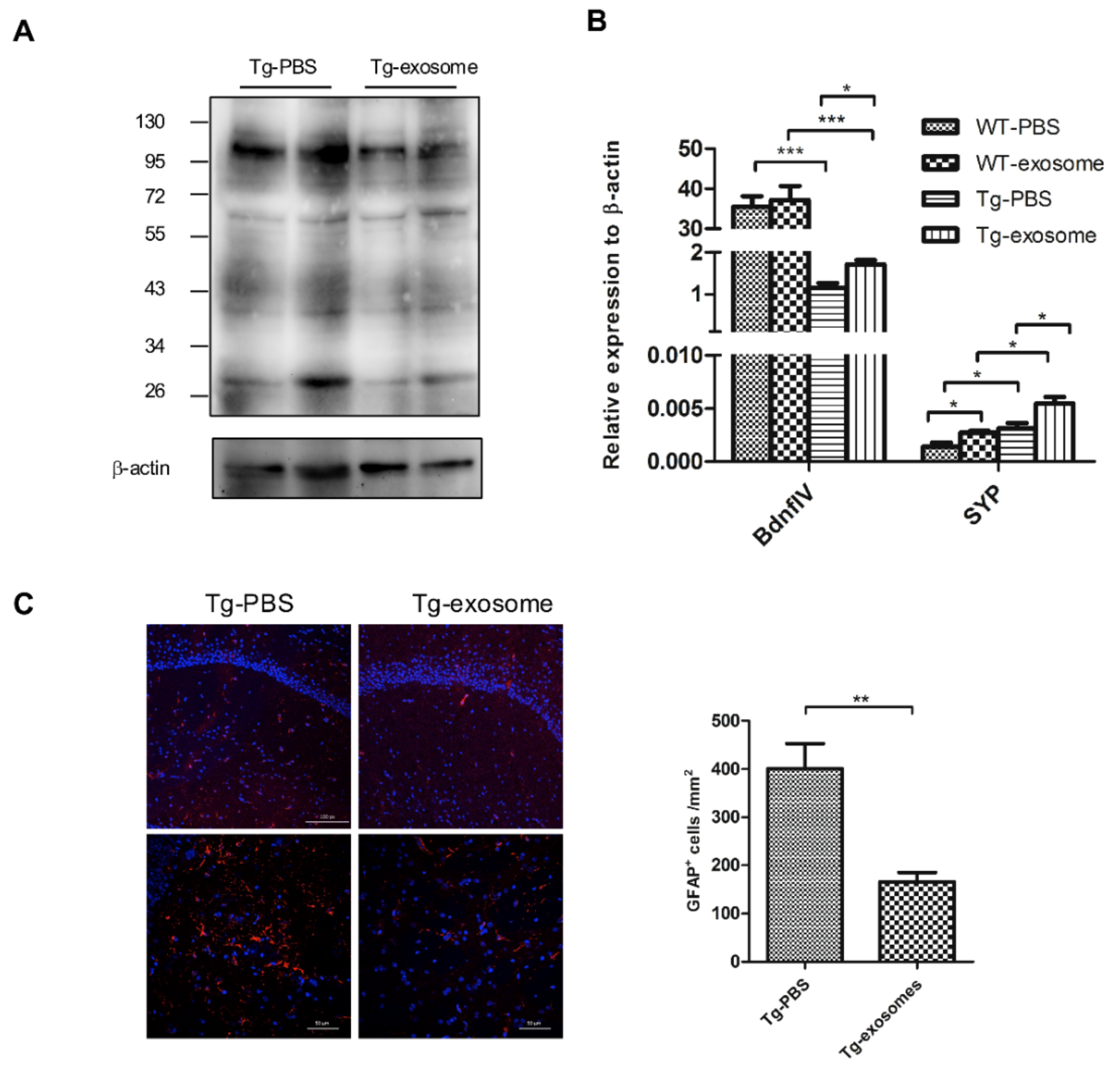 Biomedicines 09 00594 g005 Biomedicines 09 00594 g005