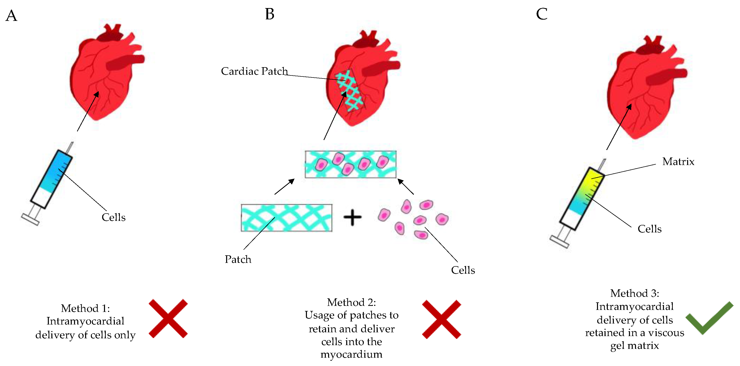 Biomedicines 09 00595 g002 Biomedicines 09 00595 g002