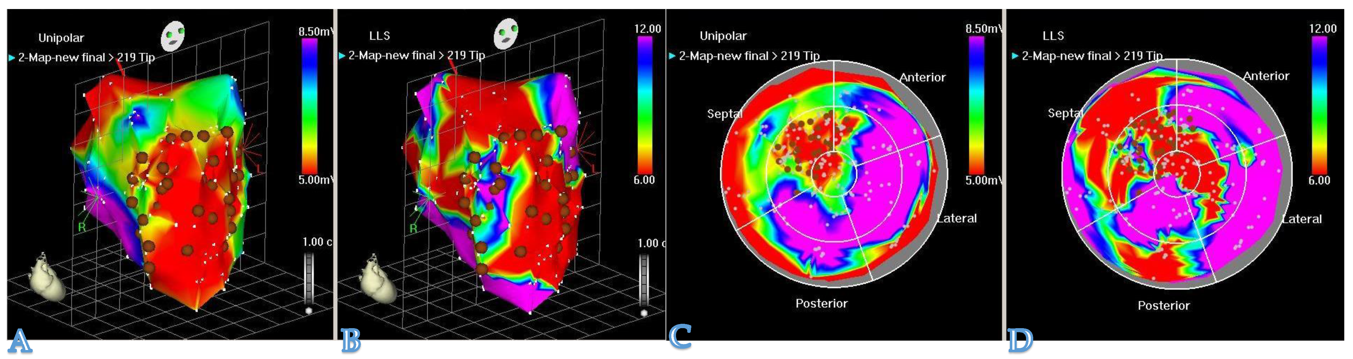 Biomedicines 09 00595 g003 Biomedicines 09 00595 g003