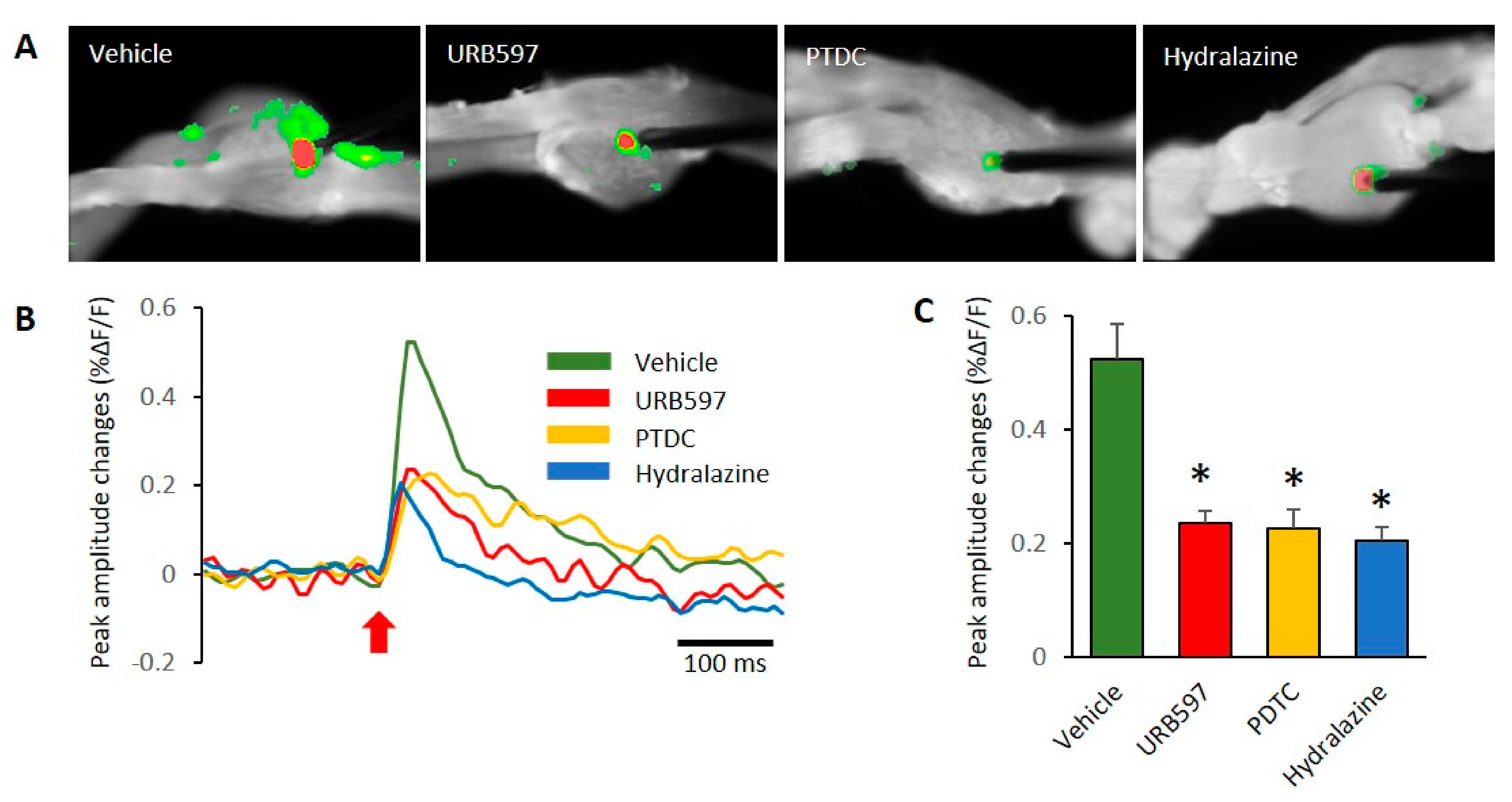 Biomedicines 09 00596 g003