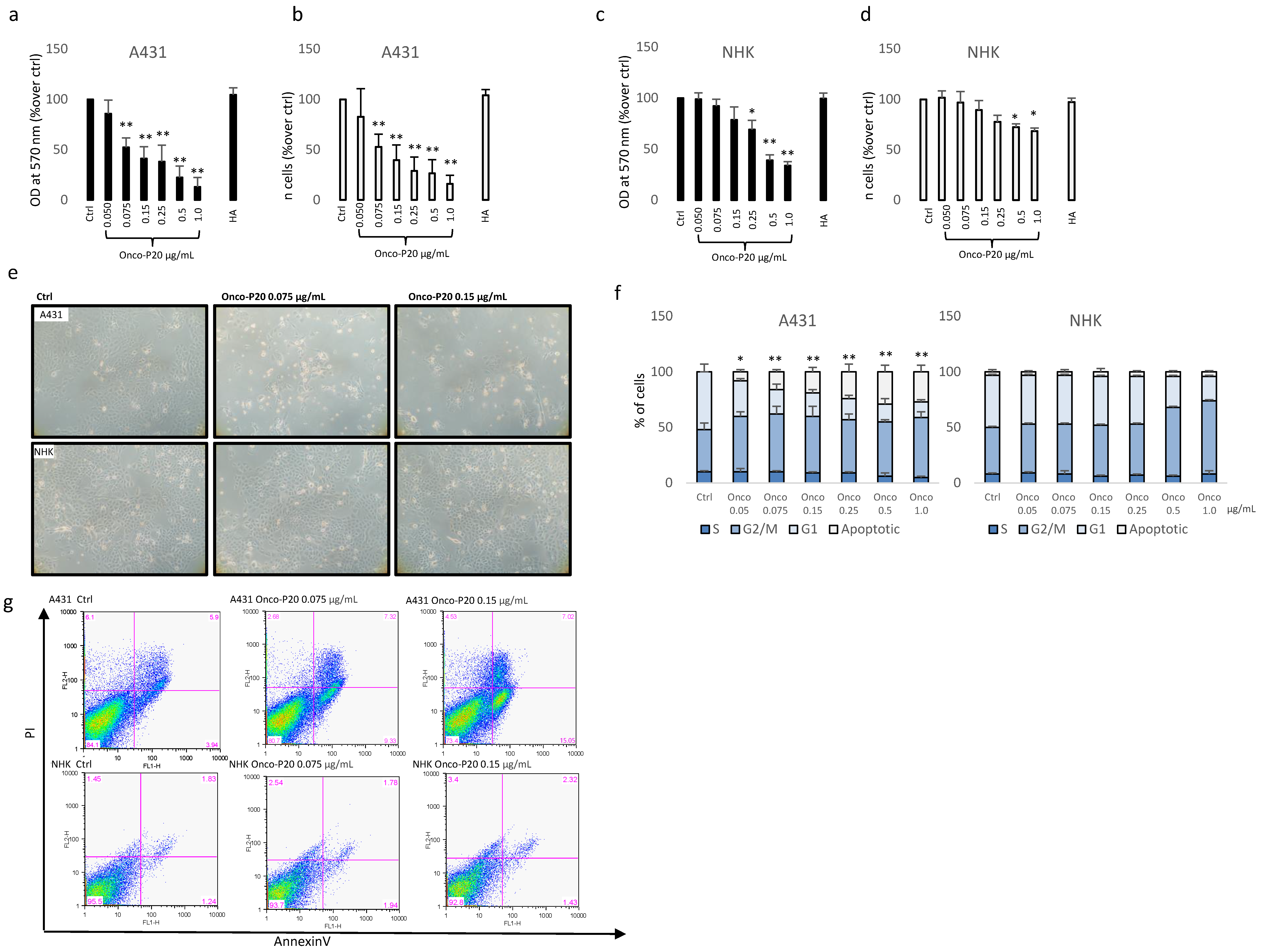 Biomedicines 09 00597 g001
