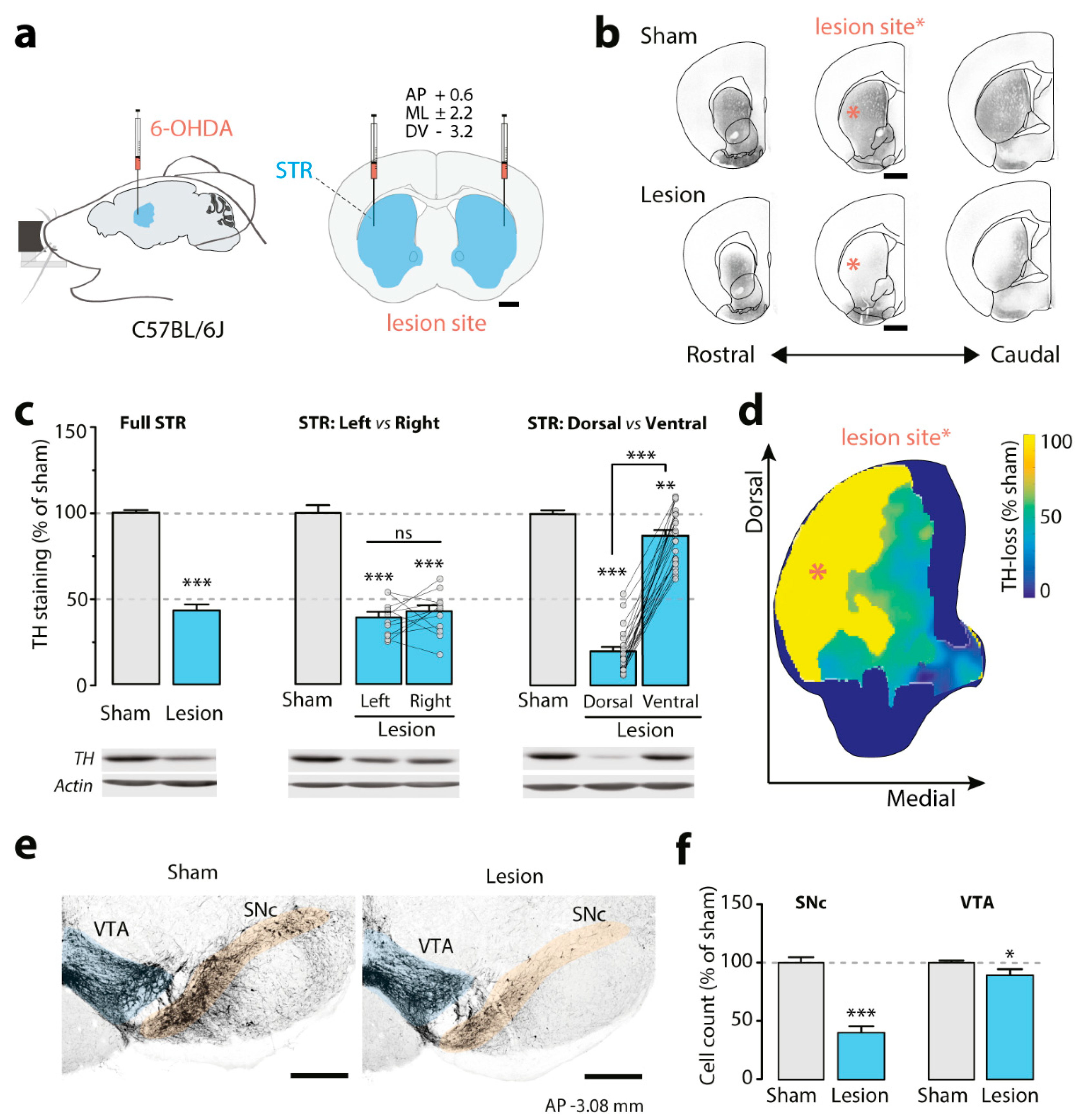 Biomedicines 09 00598 g002 Biomedicines 09 00598 g002