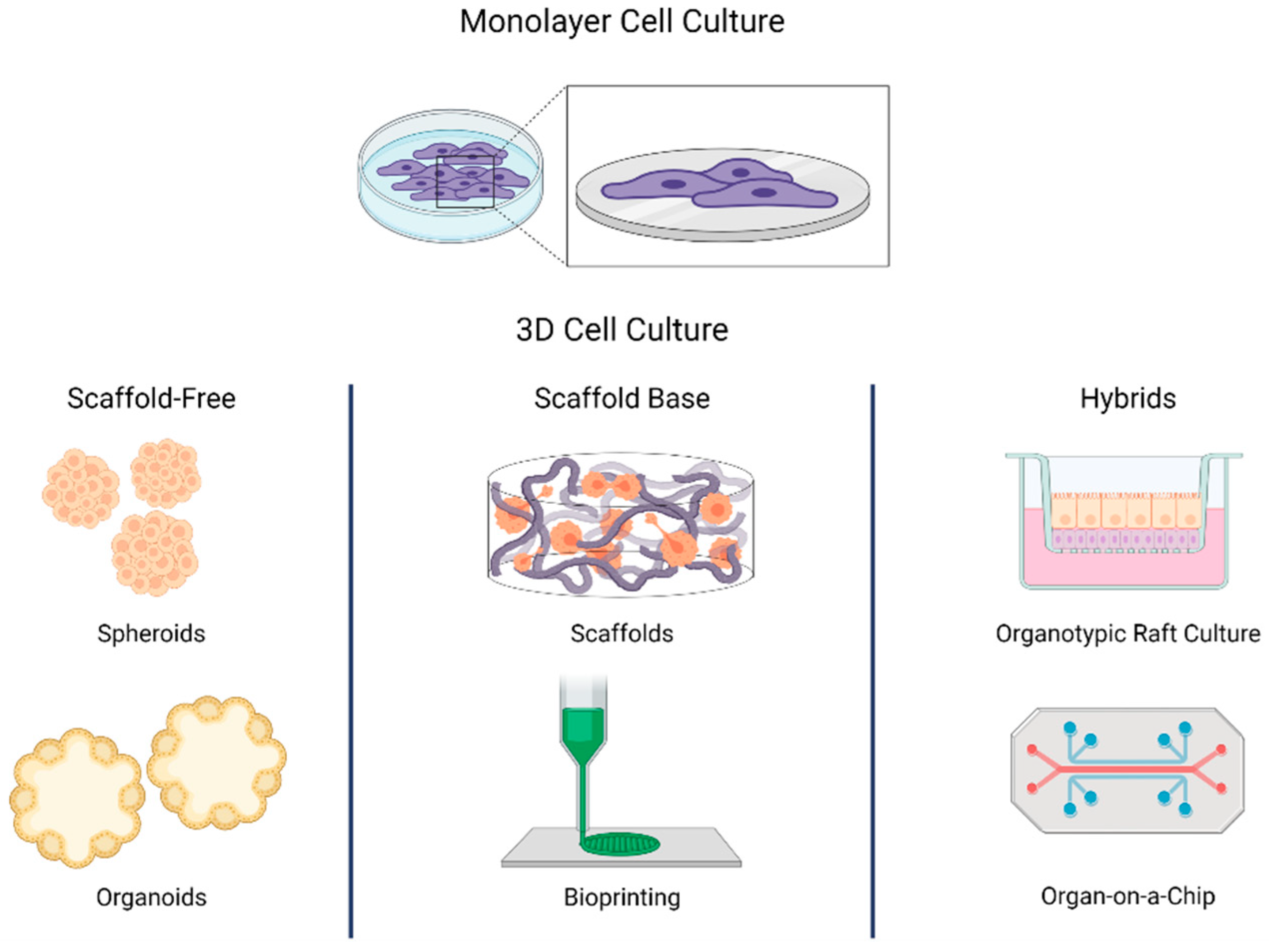 cell culture research paper