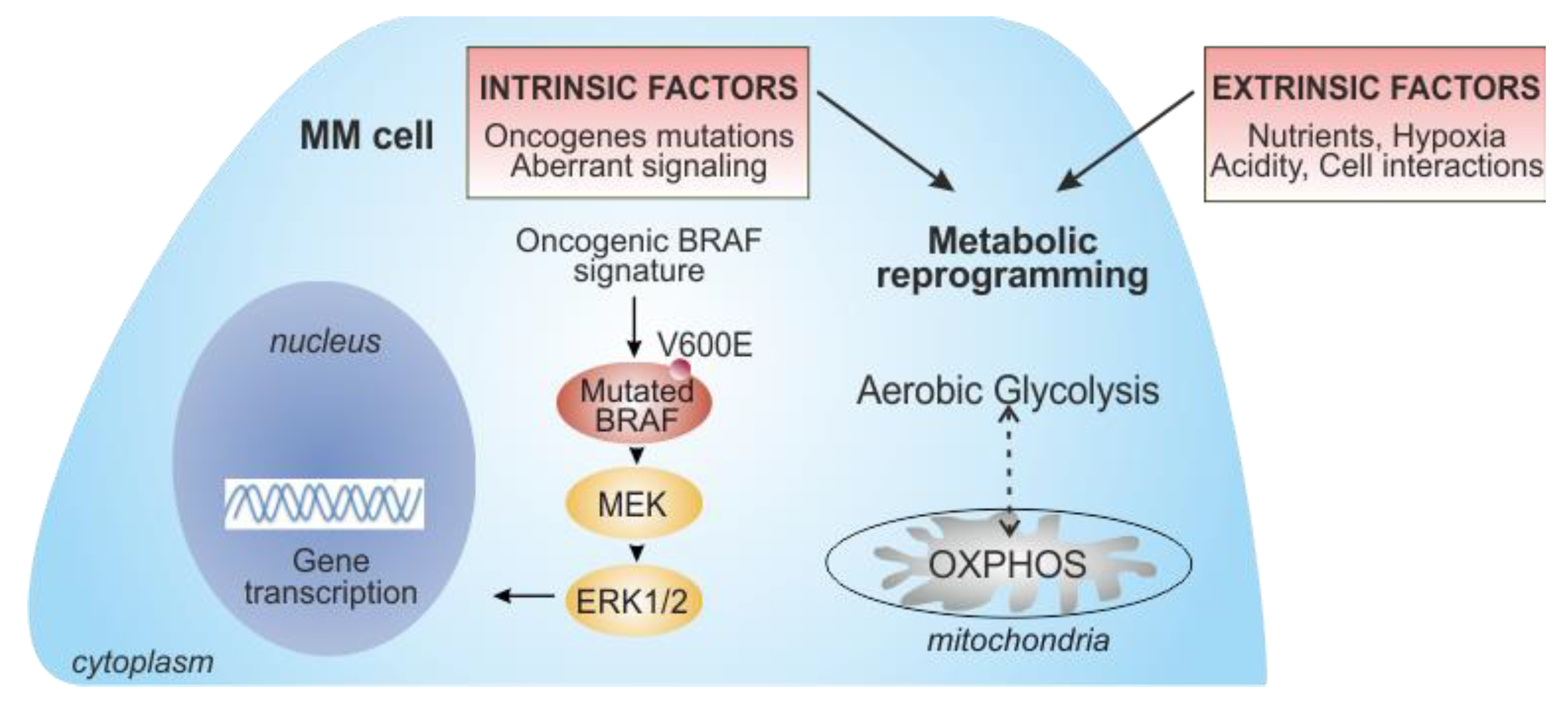 Biomedicines 09 00607 g002