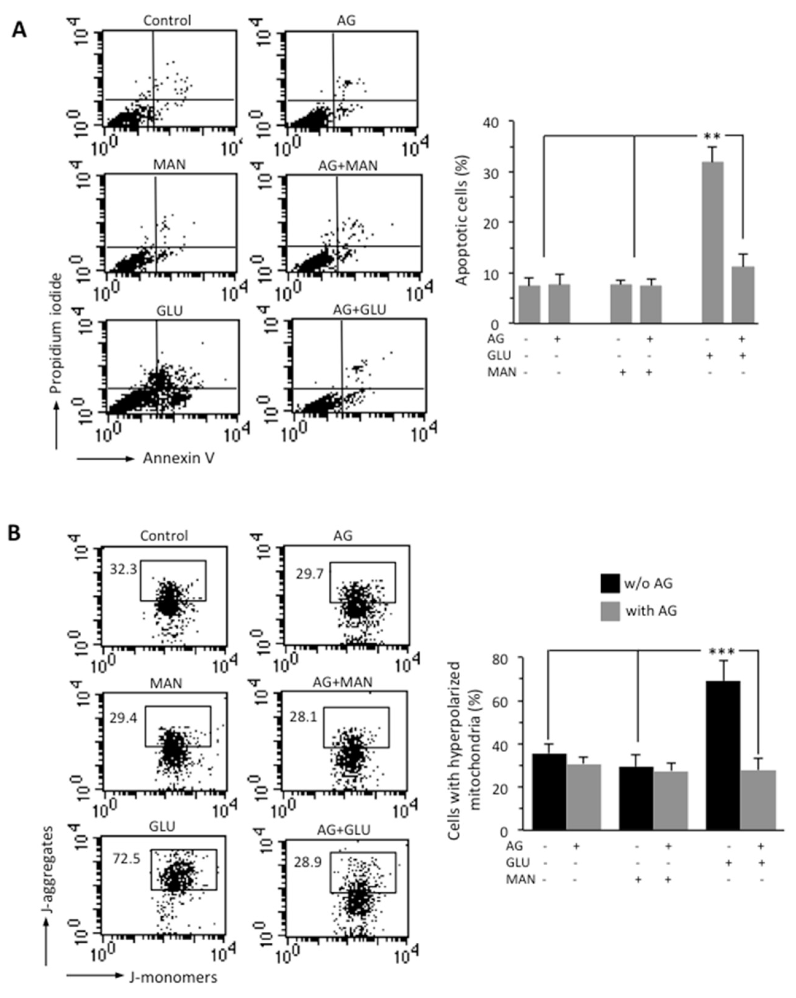 Biomedicines 09 00608 g002