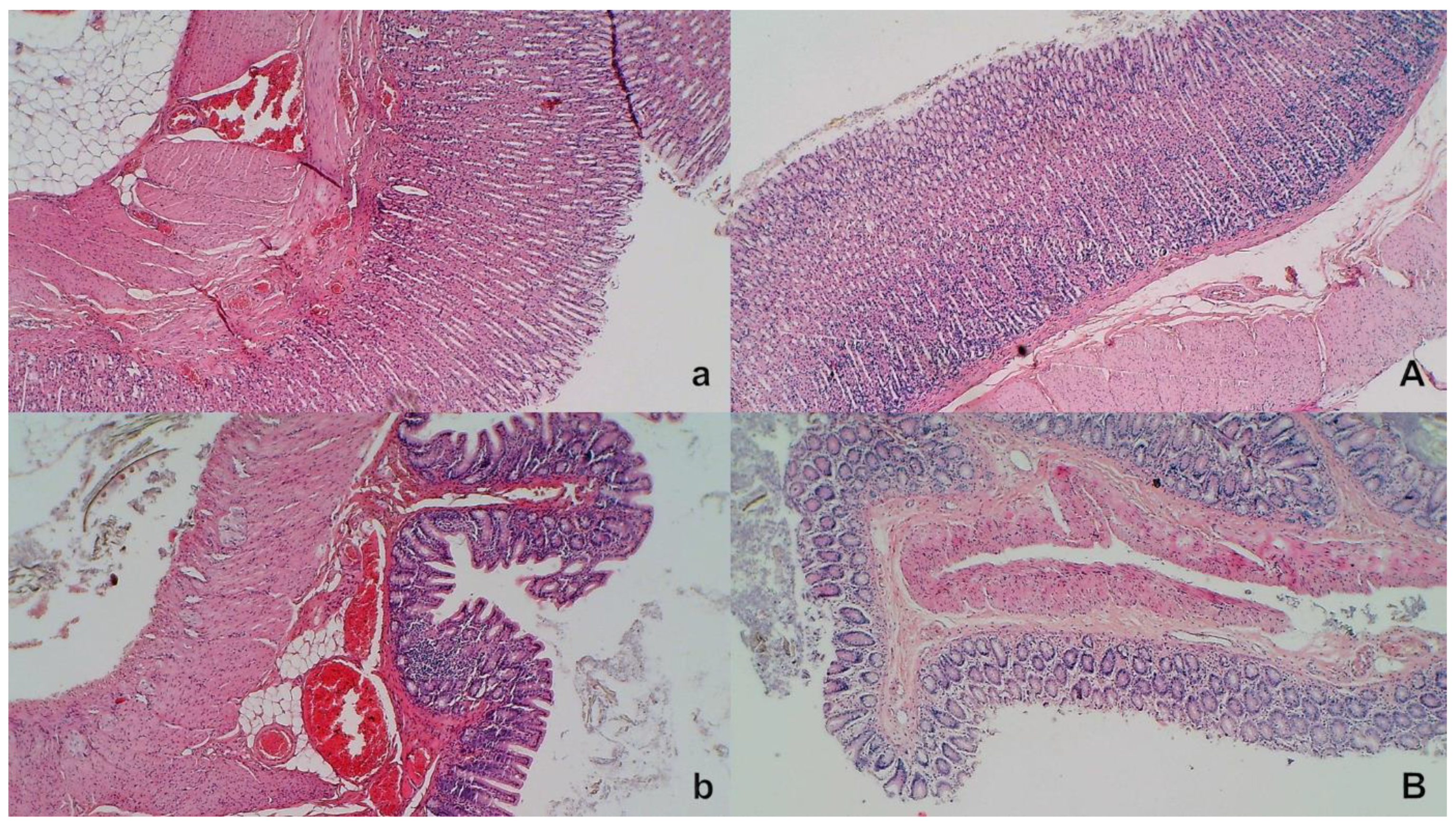 Biomedicines 09 00609 g010 Biomedicines 09 00609 g010