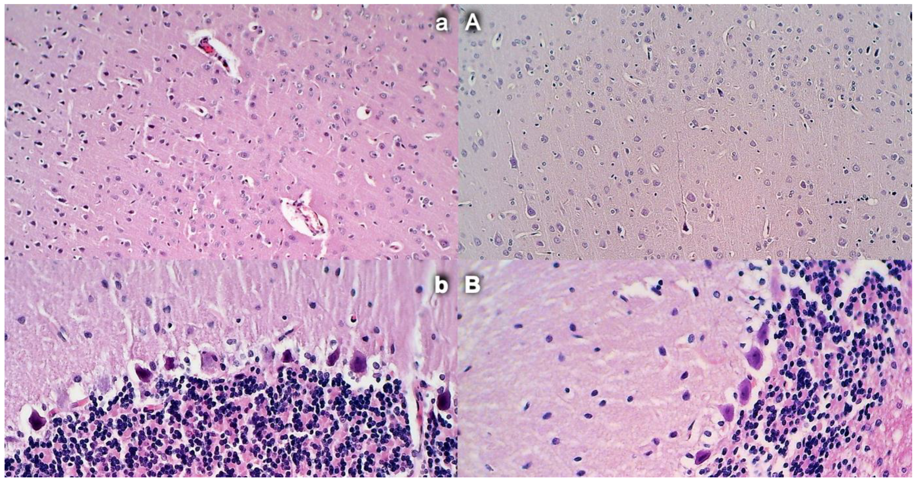 Biomedicines 09 00609 g014 Biomedicines 09 00609 g014