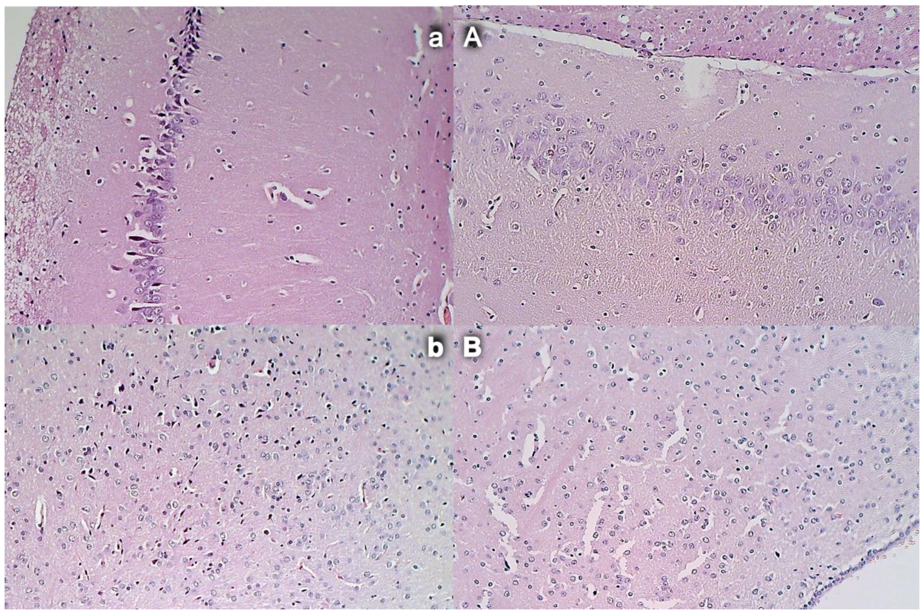 Biomedicines 09 00609 g015 Biomedicines 09 00609 g015