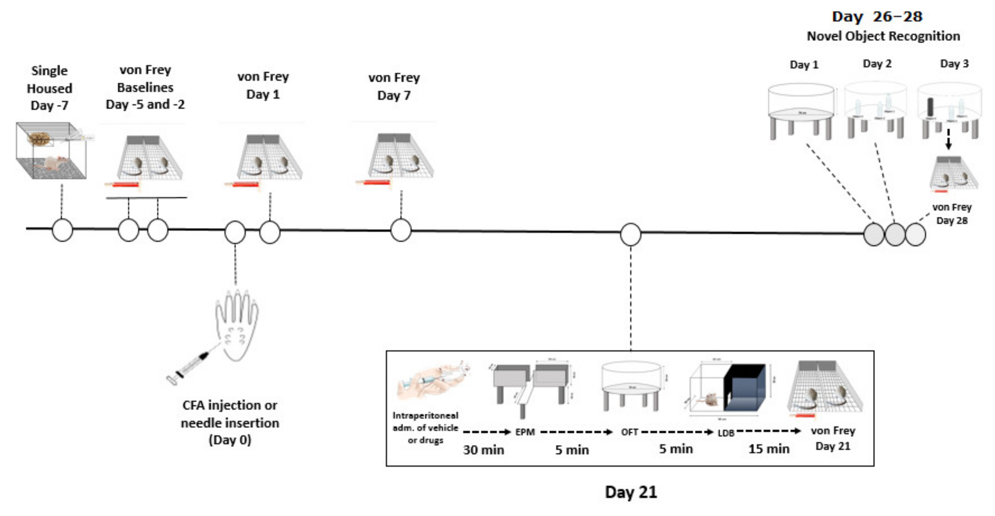 Biomedicines 09 00610 g001