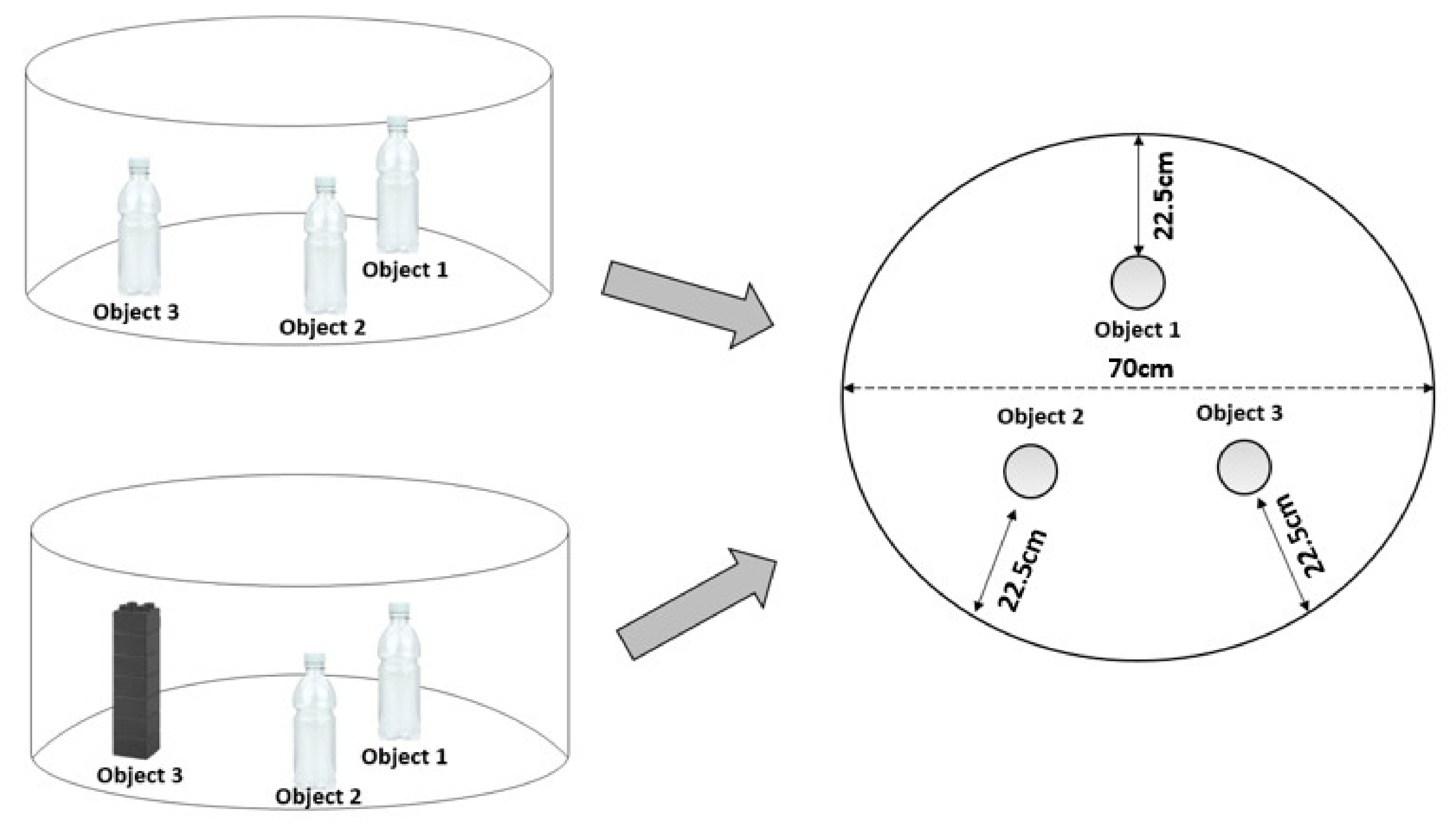 Biomedicines 09 00610 g002
