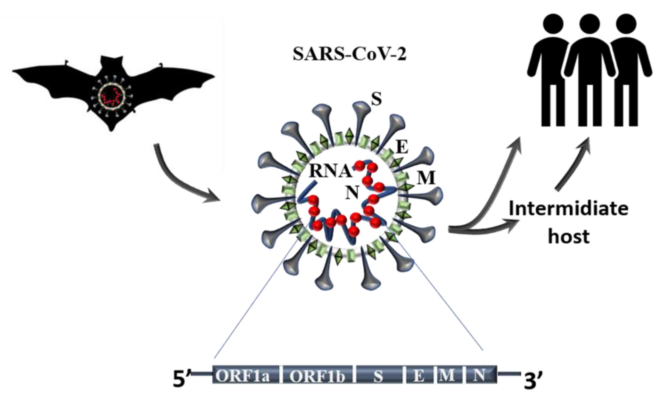 Biomedicines 09 00611 g001 Biomedicines 09 00611 g001