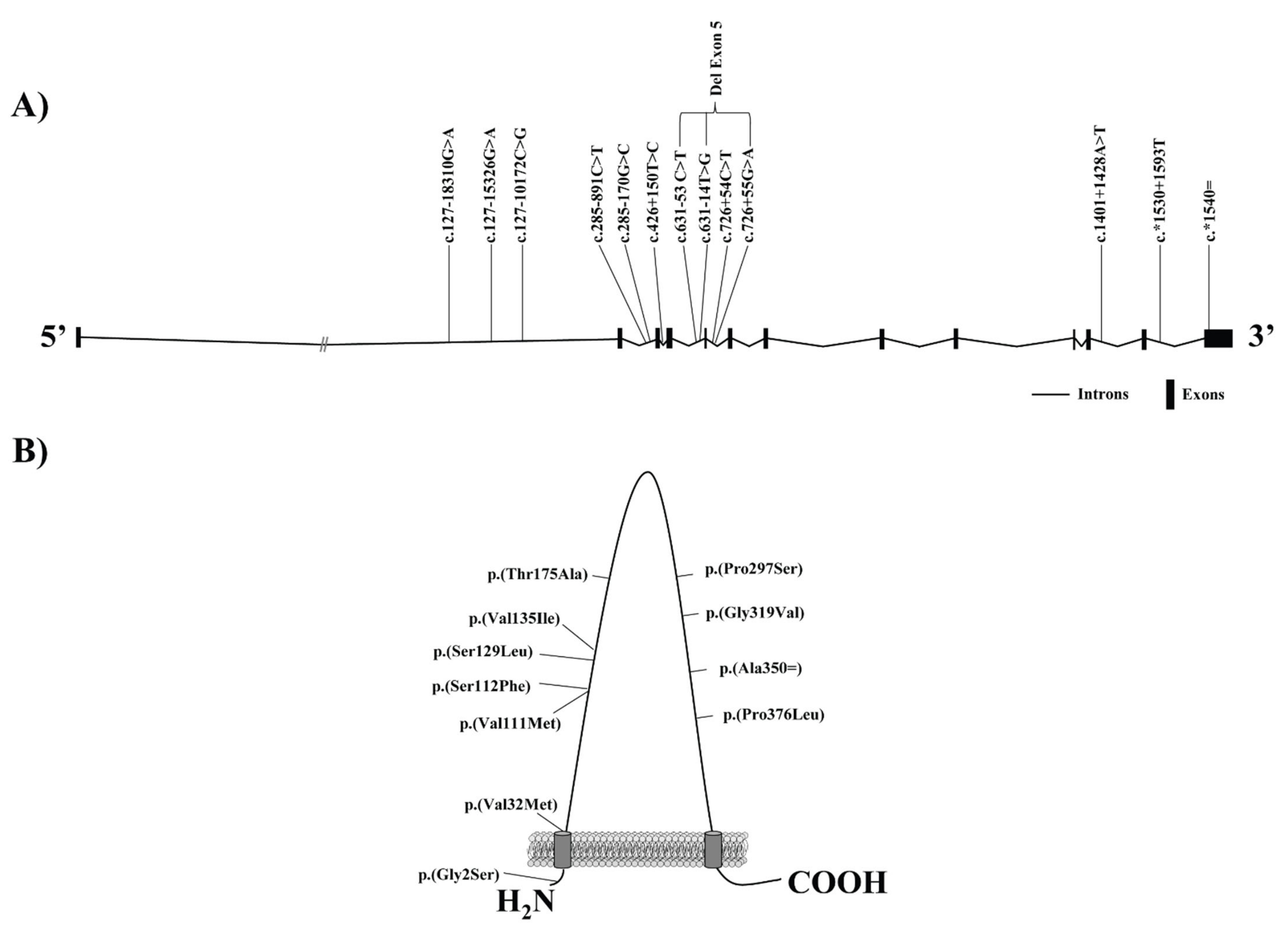 Biomedicines 09 00612 g002 Biomedicines 09 00612 g002