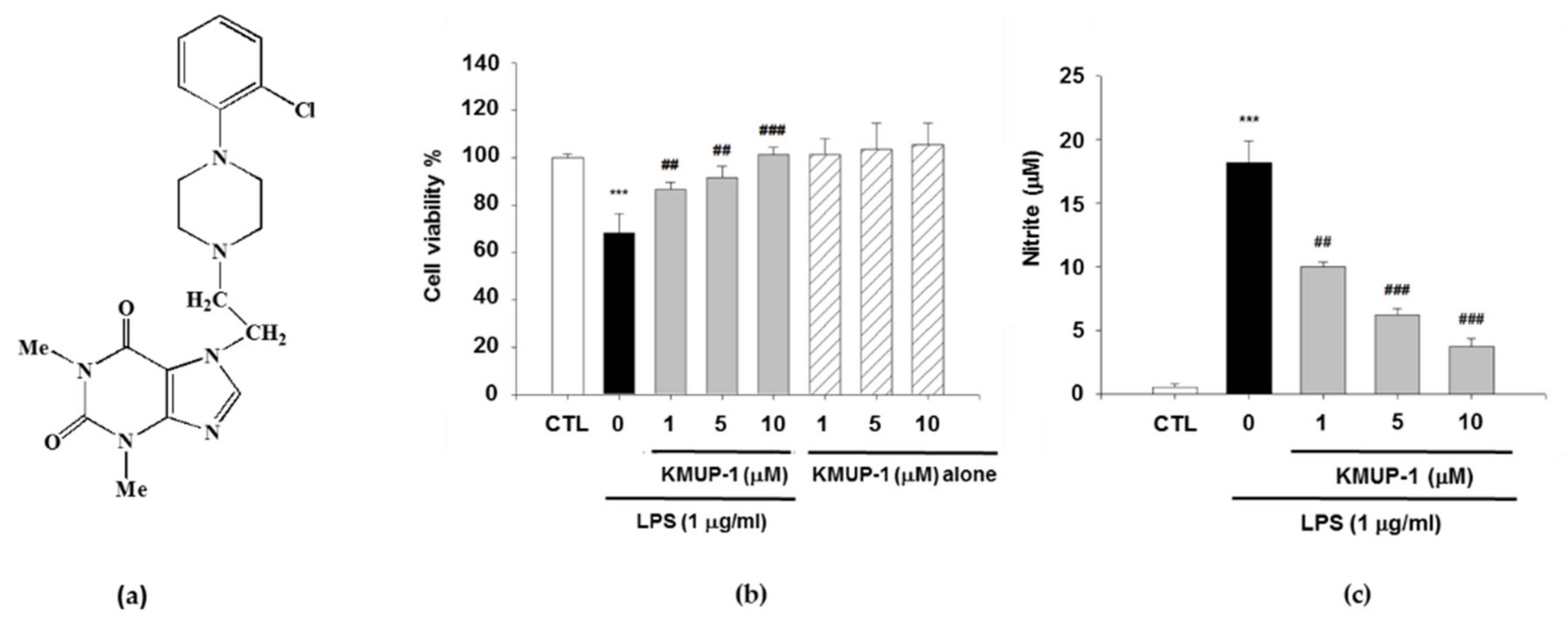 Biomedicines 09 00615 g001 Biomedicines 09 00615 g001