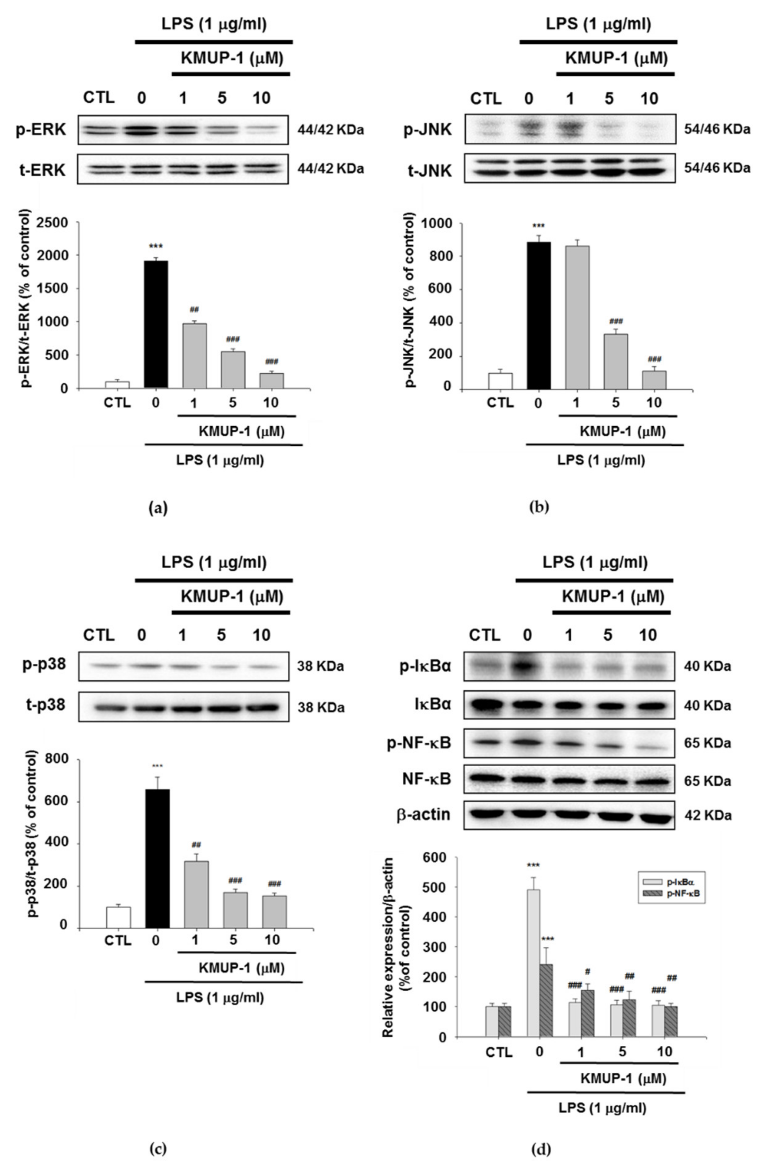 Biomedicines 09 00615 g005 Biomedicines 09 00615 g005