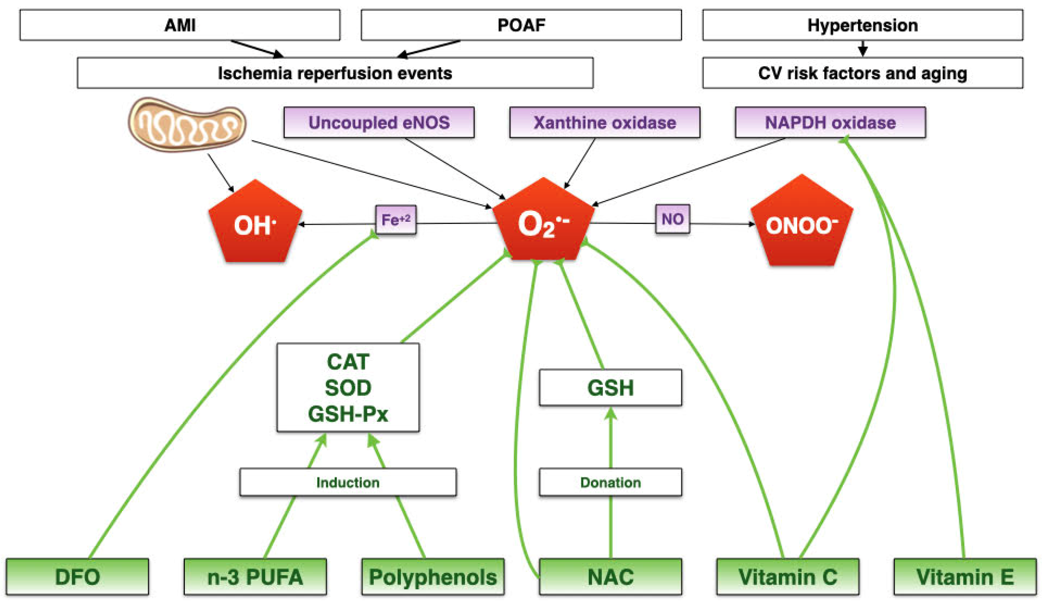 Biomedicines 09 00620 g001 Biomedicines 09 00620 g001