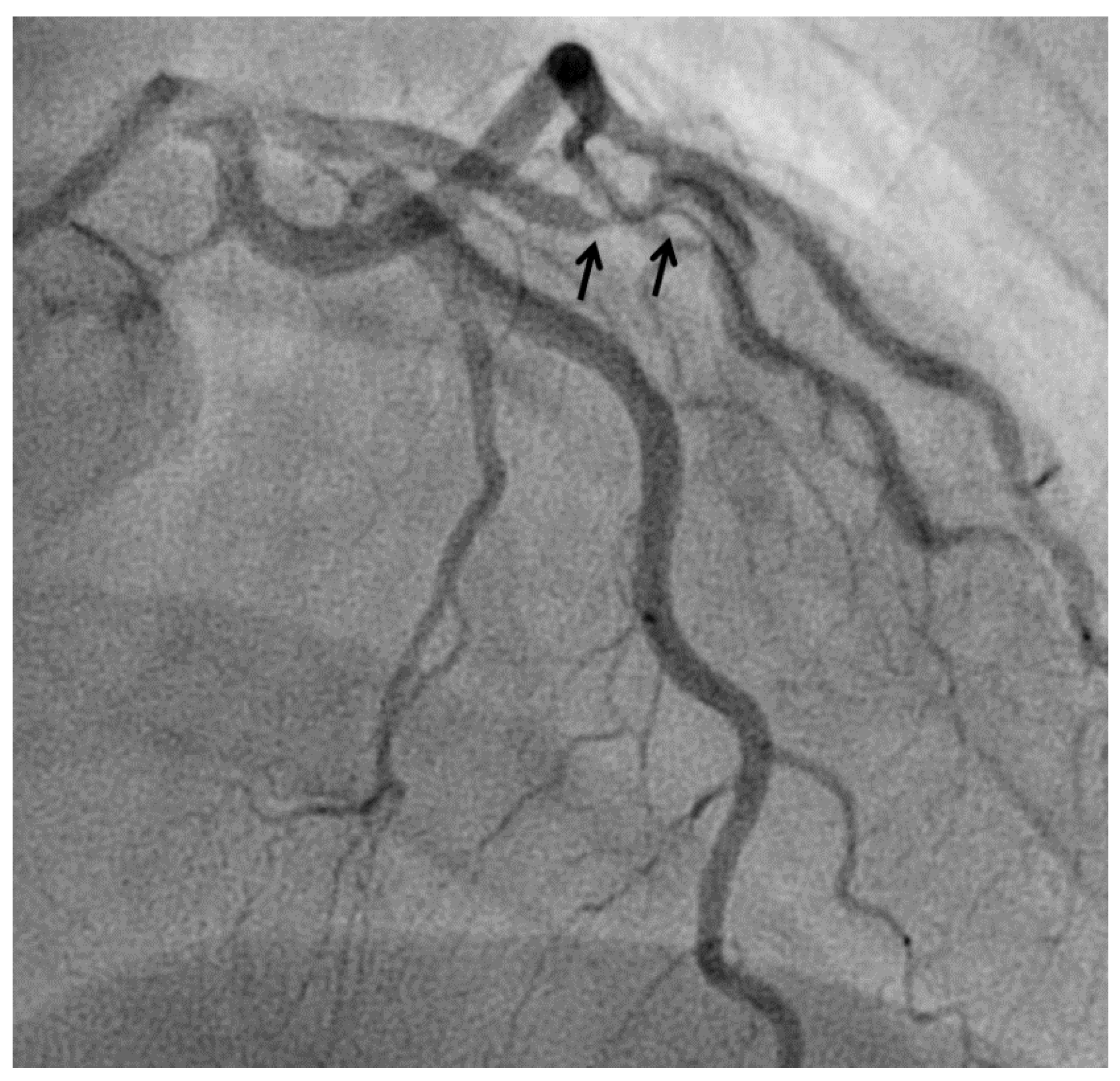 Biomedicines 09 00622 g003