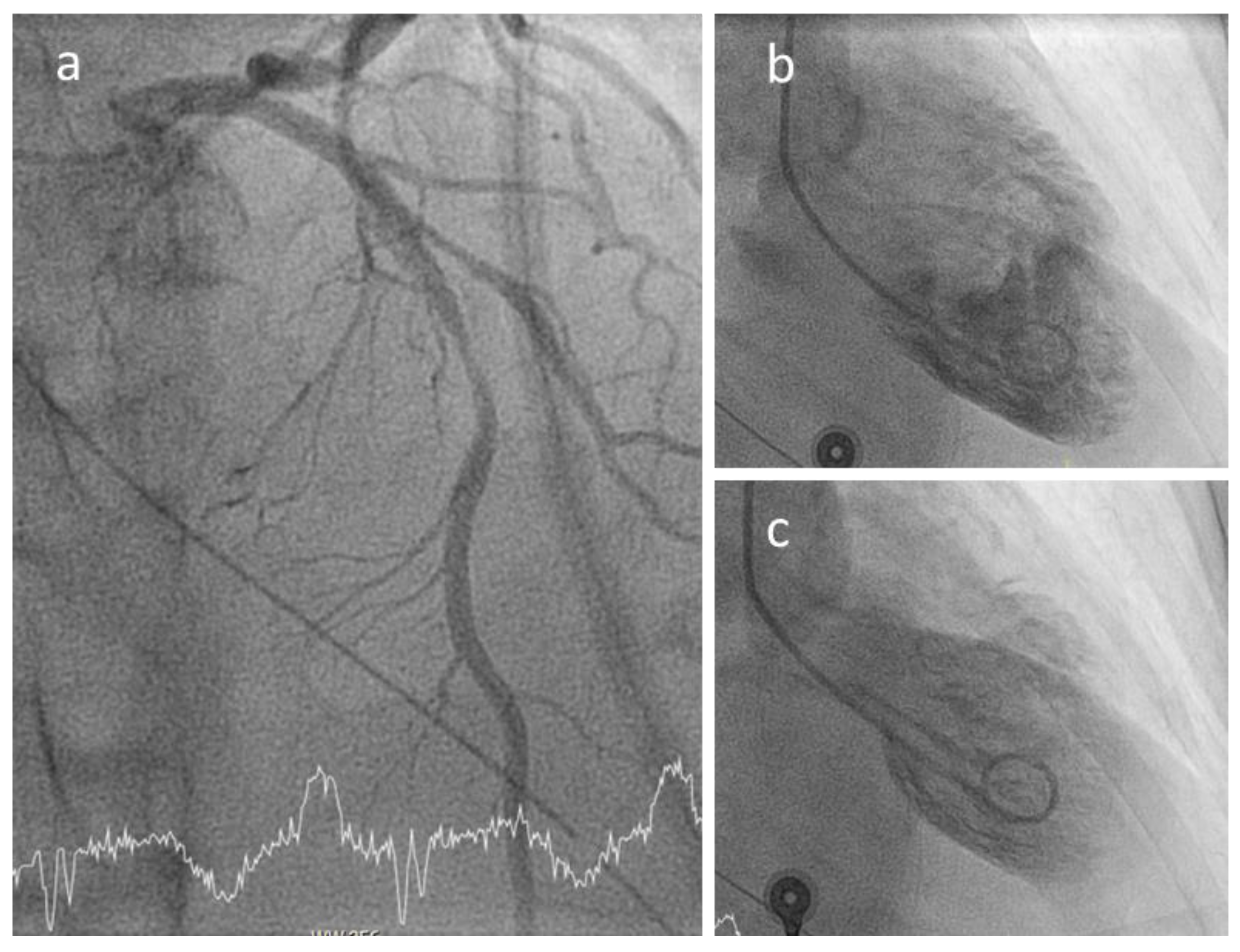 Biomedicines 09 00622 g004