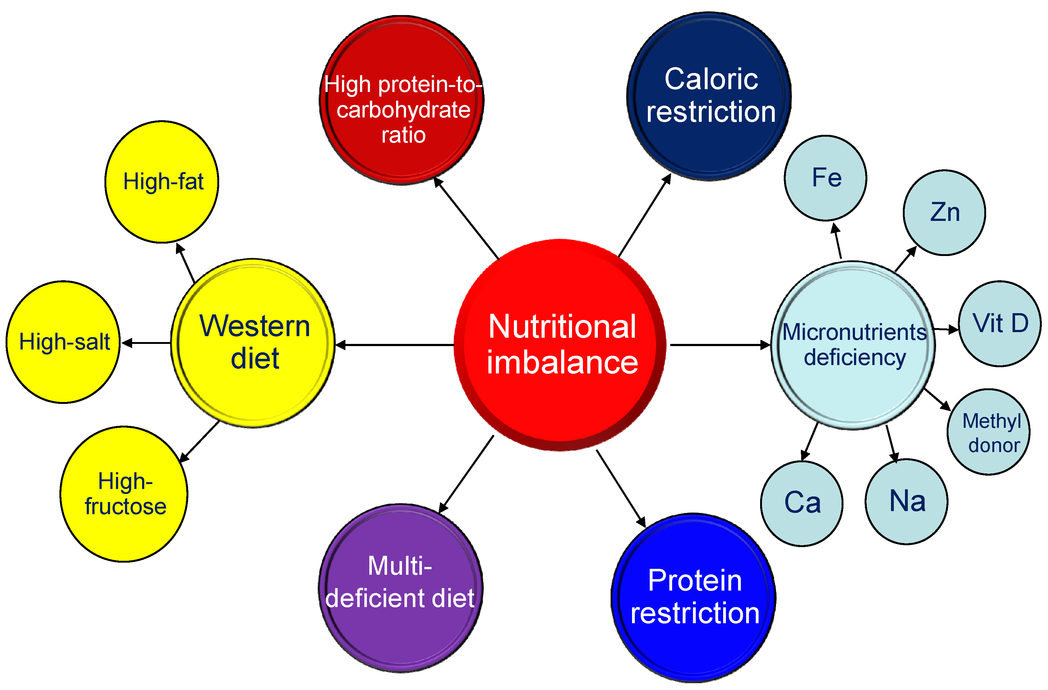 Biomedicines 09 00623 g002 Biomedicines 09 00623 g002