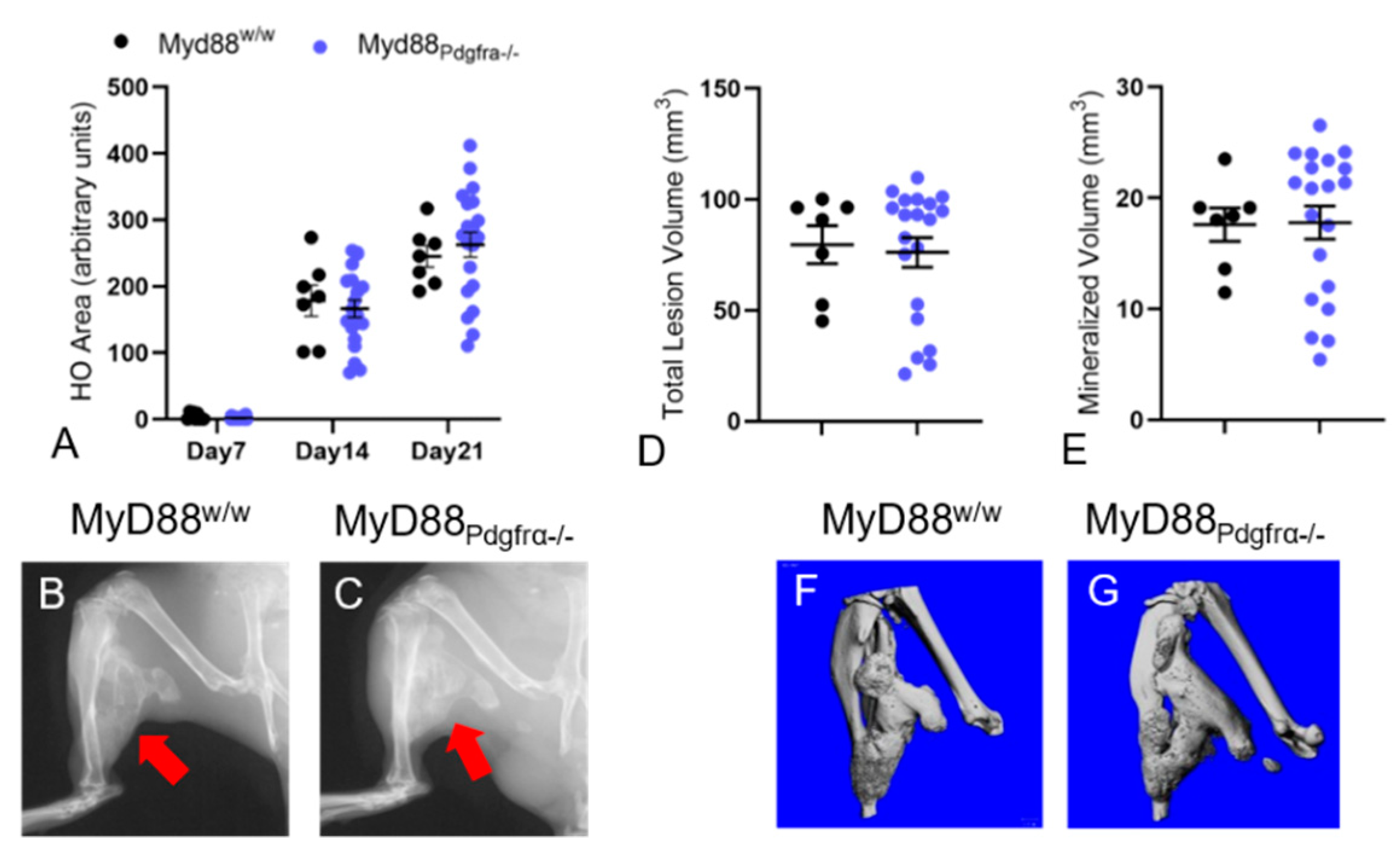 Biomedicines 09 00630 g002