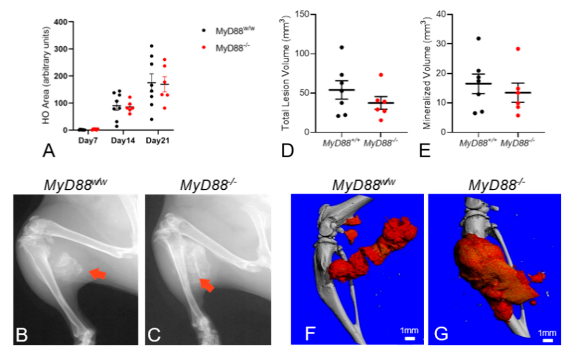 Biomedicines 09 00630 g004