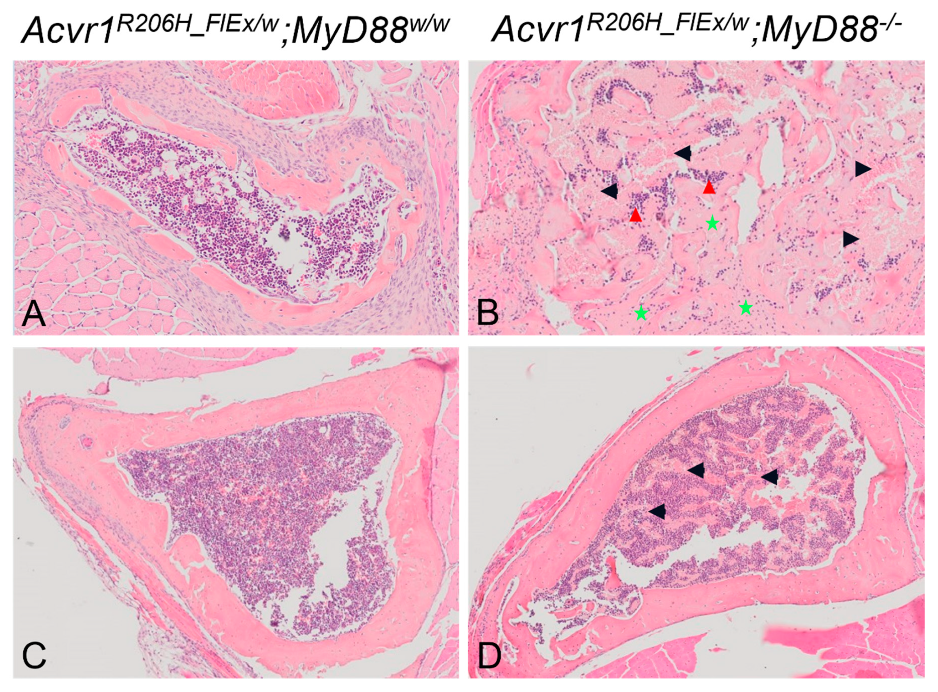 Biomedicines 09 00630 g005