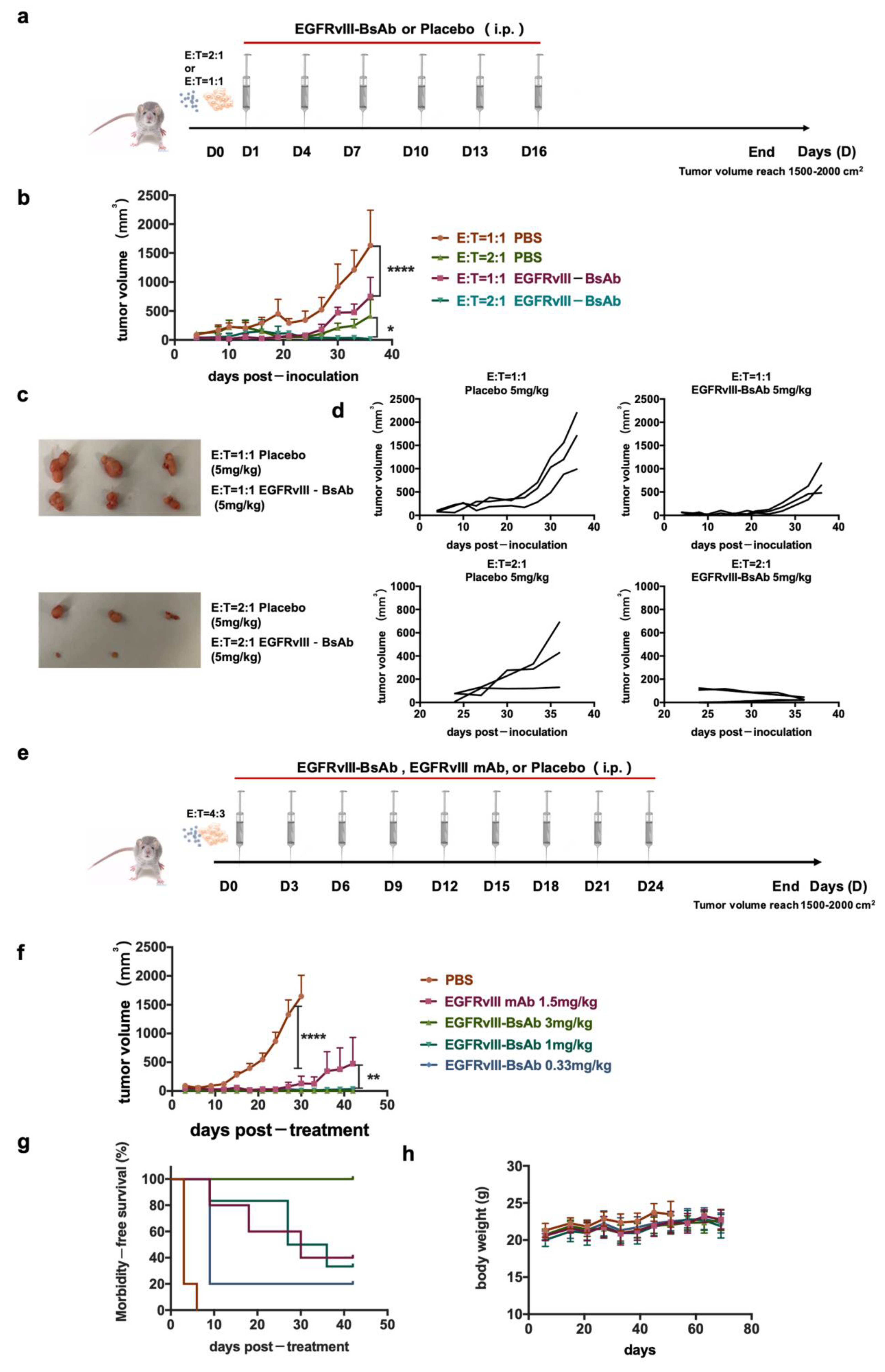Biomedicines 09 00640 g005 Biomedicines 09 00640 g005