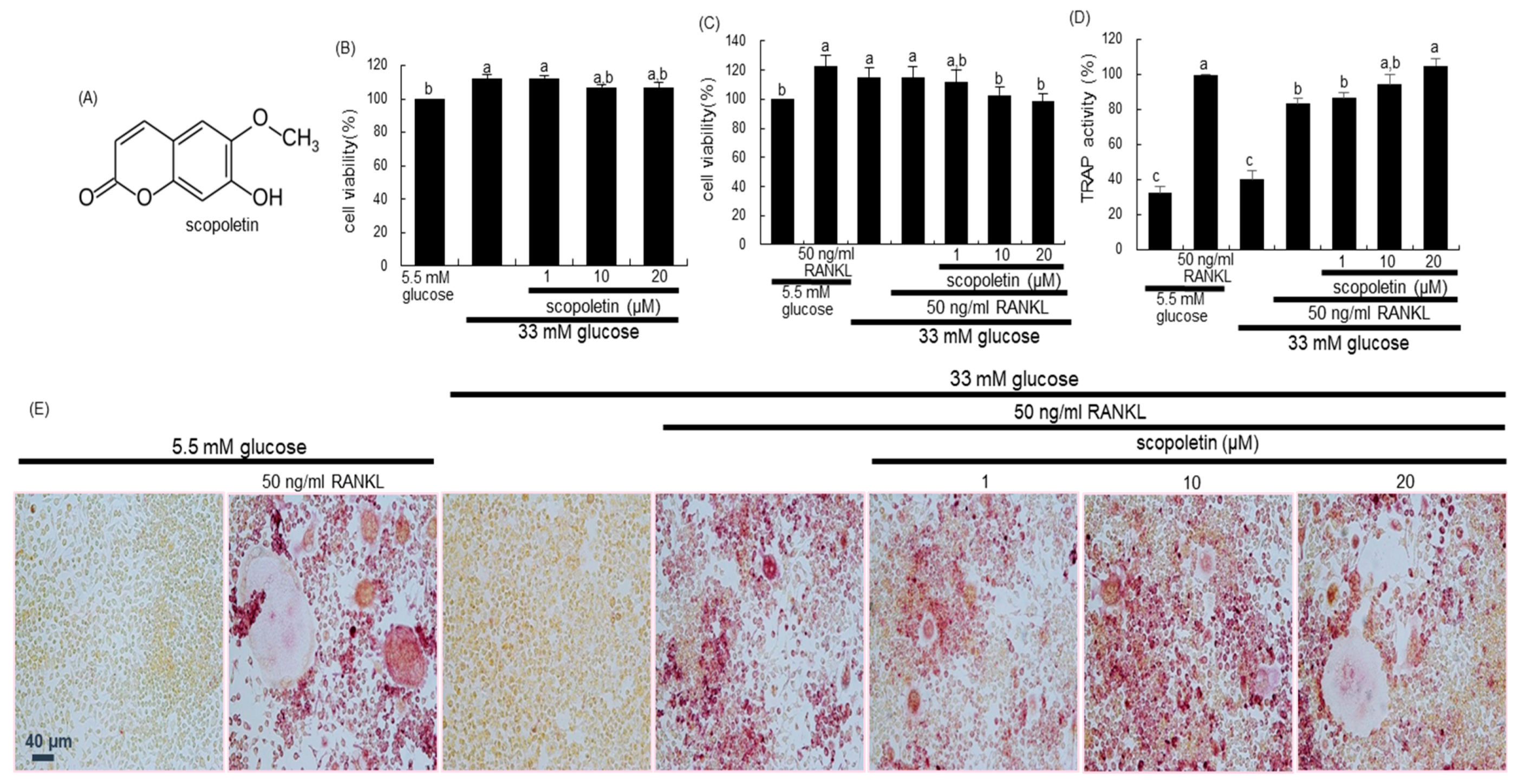 Biomedicines 09 00648 g001